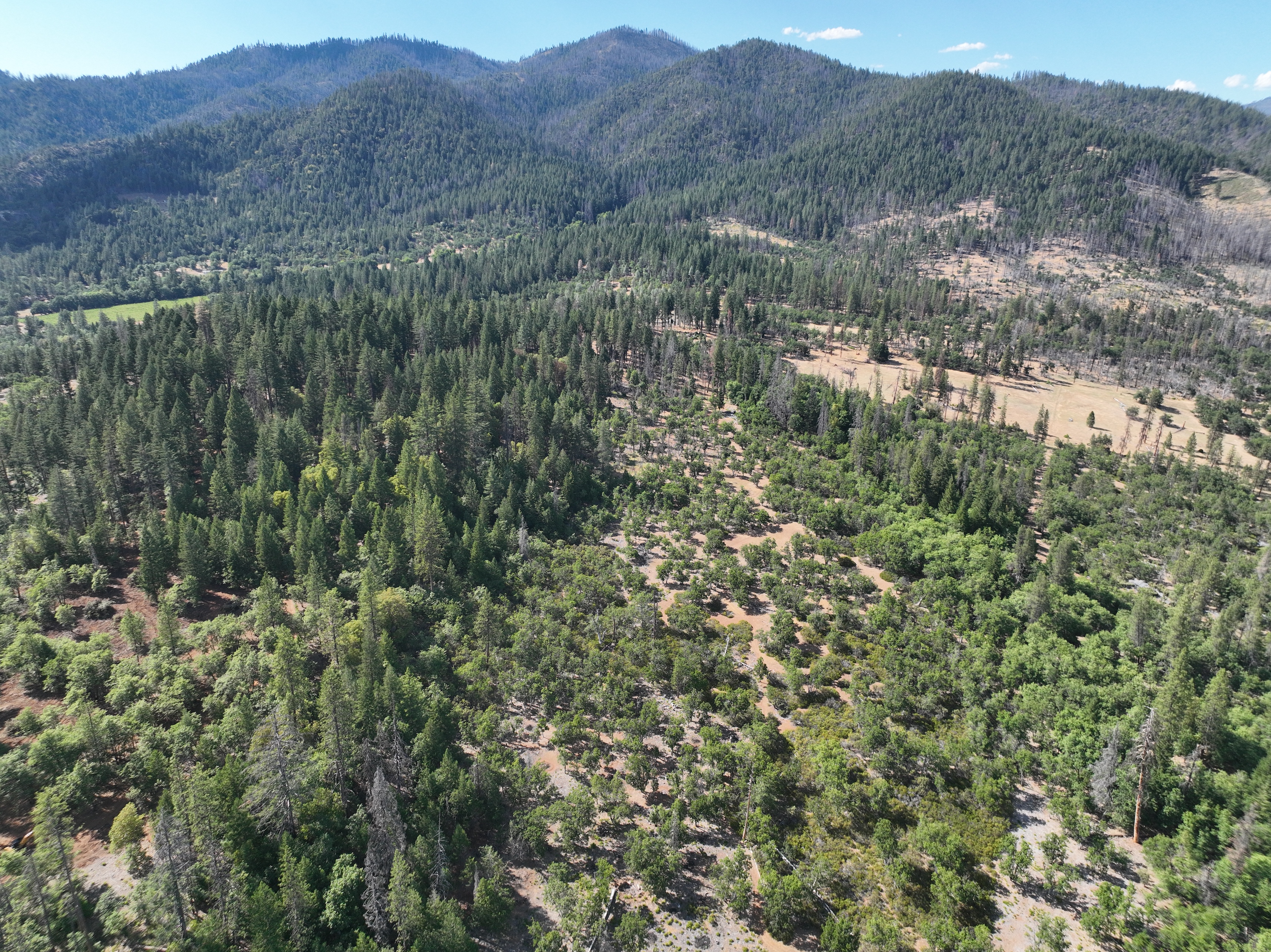 240 Acres Hayfork