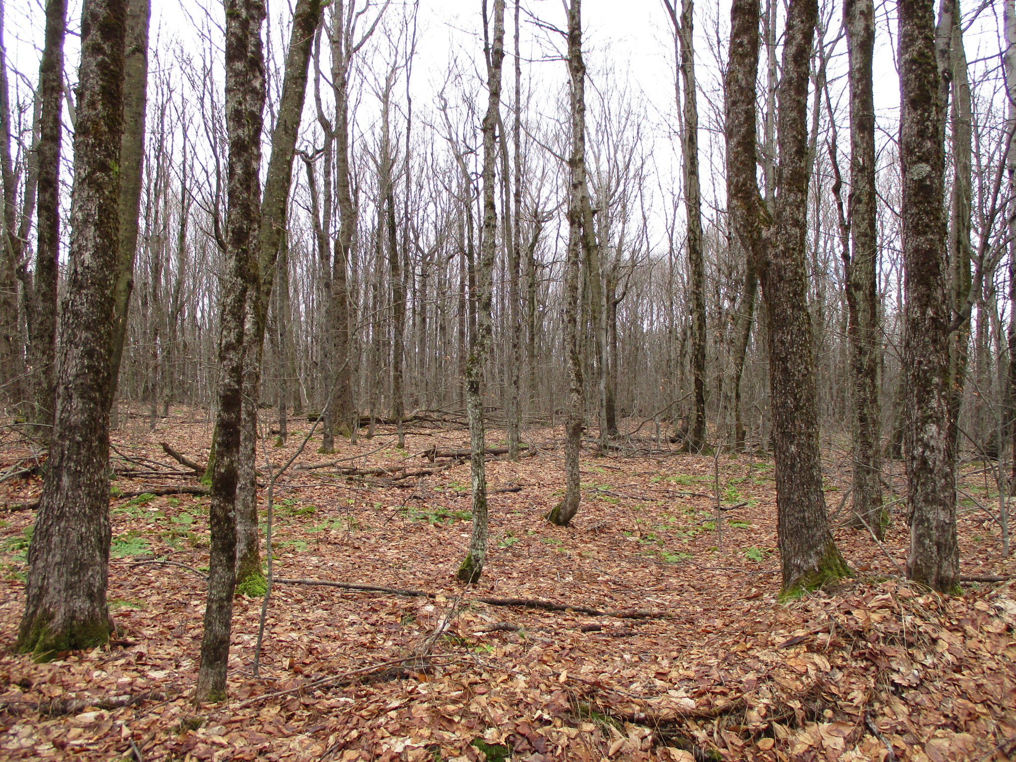 Listing Image 29