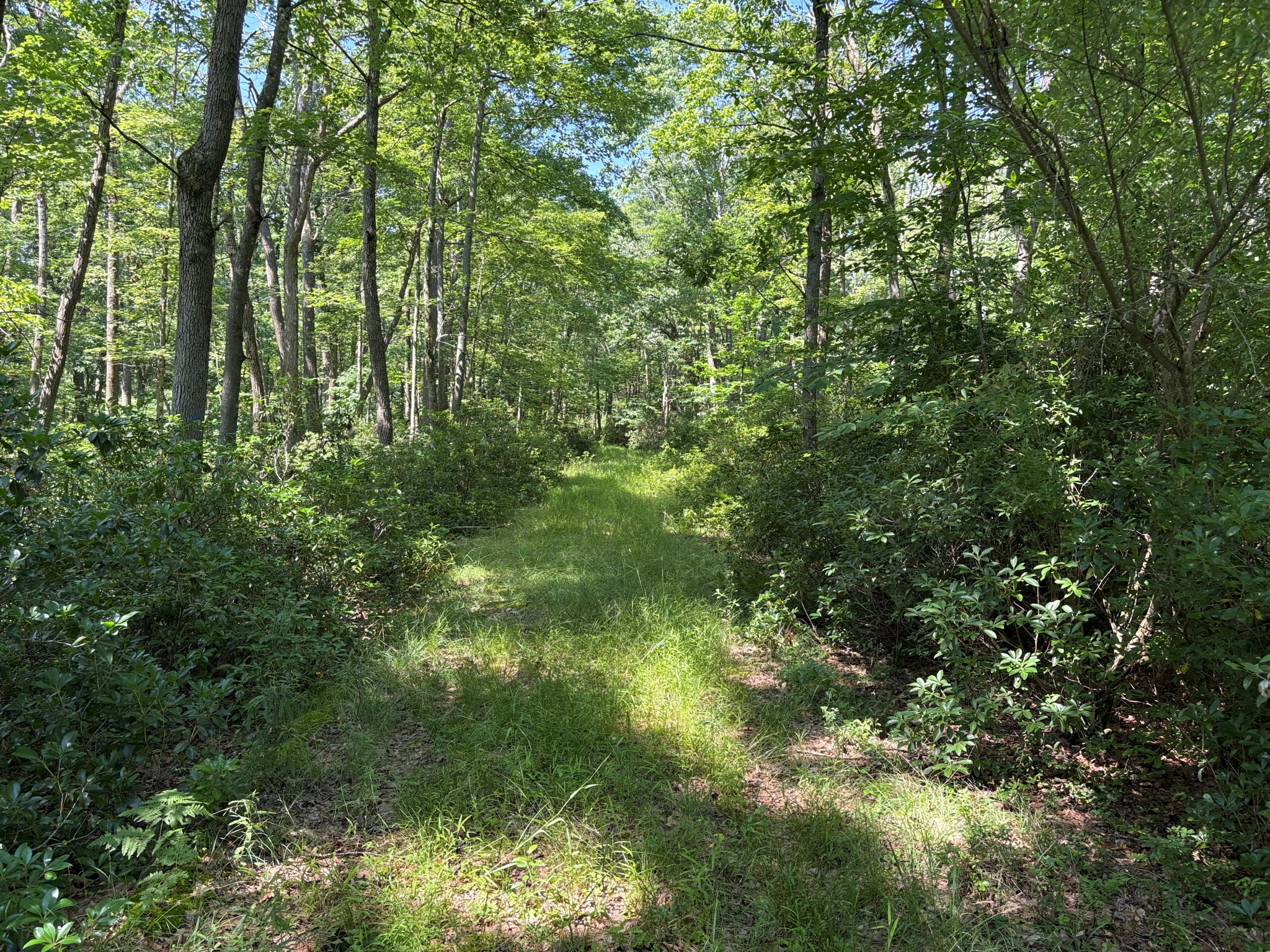 Listing Image 24