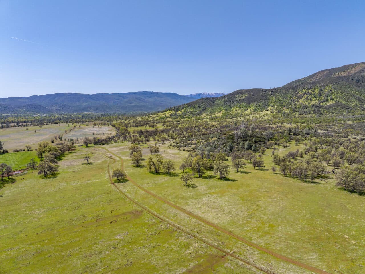 Listing Image 72