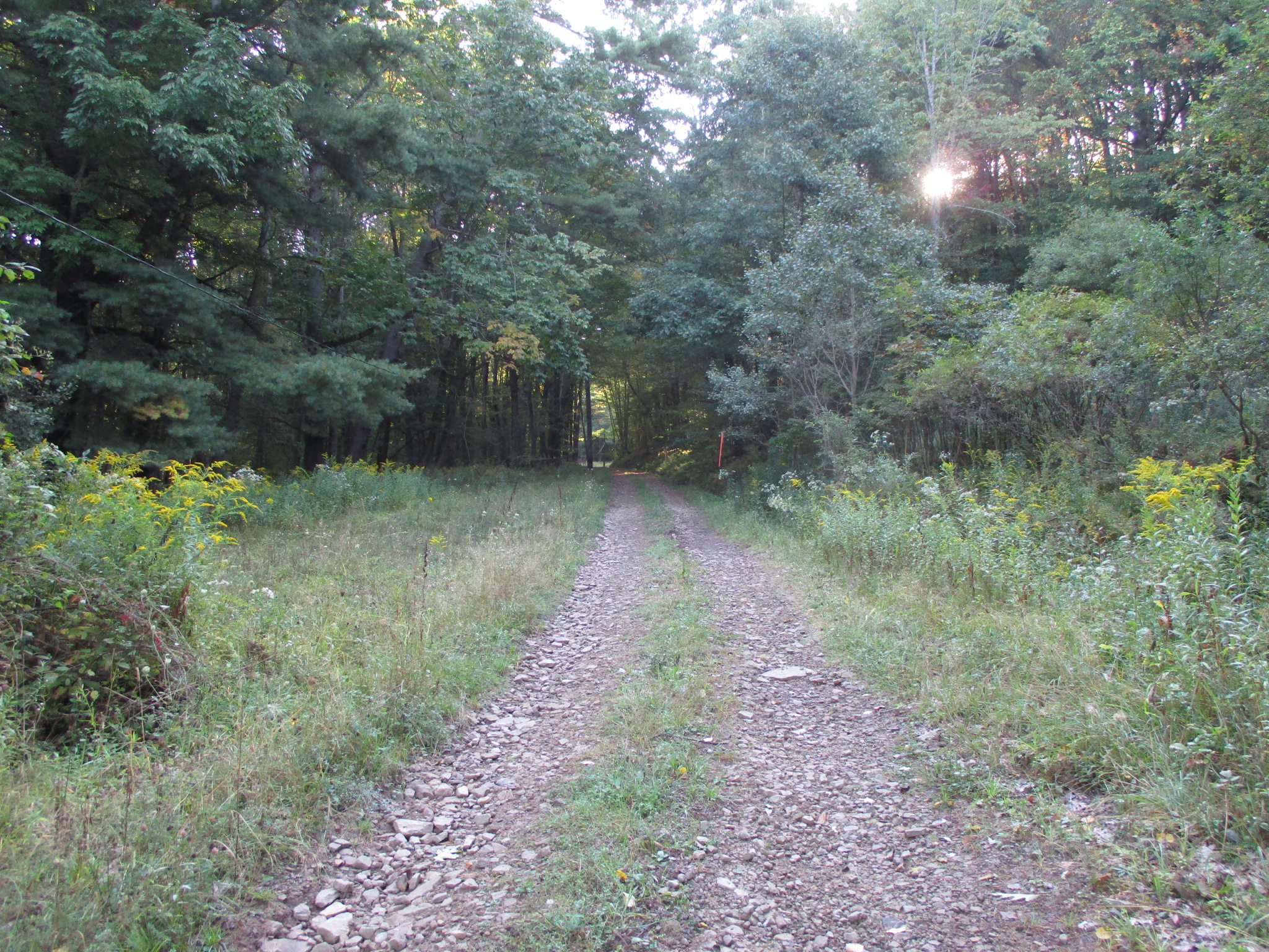 Listing Image 11