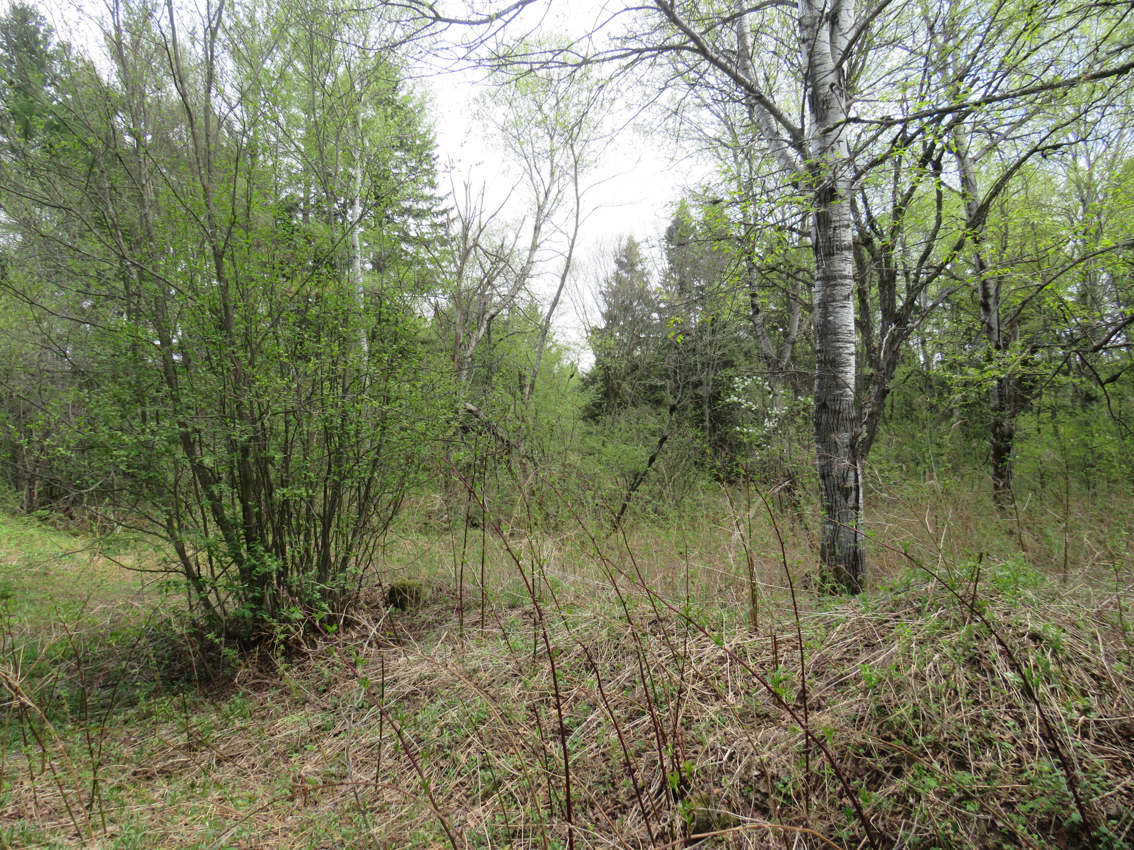 160 Acre Wilderness Retreat 50175391