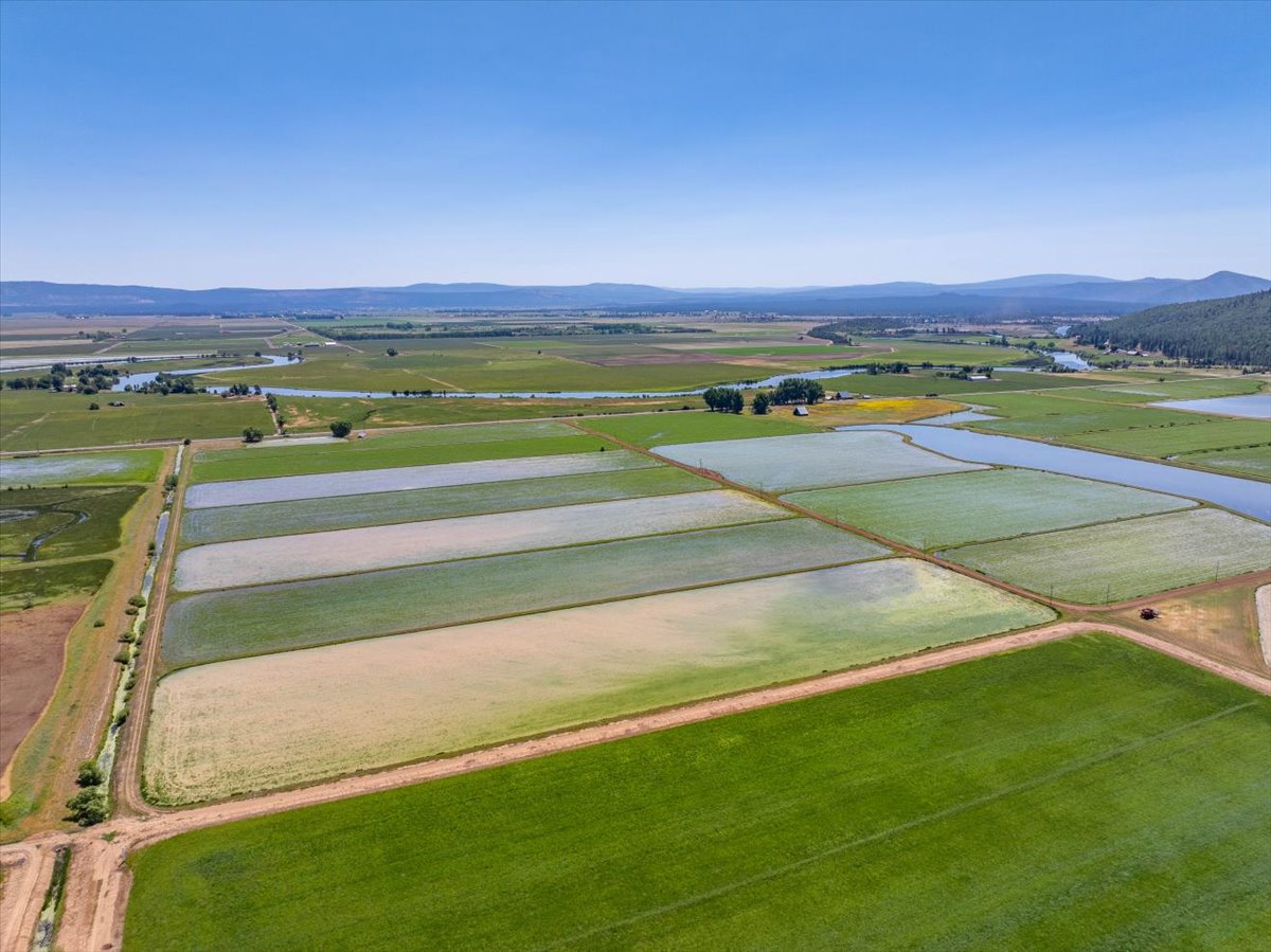 Listing Image 87