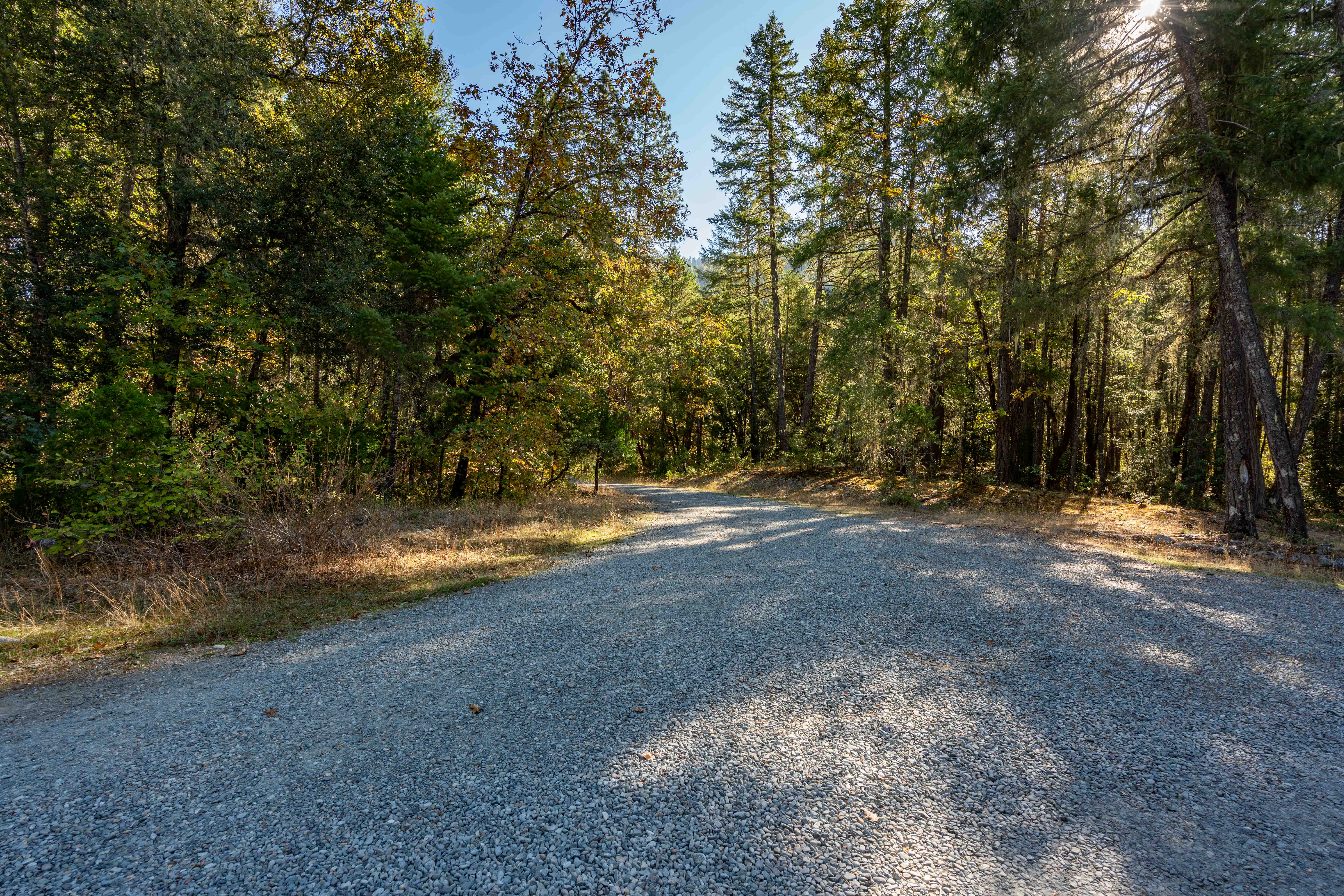 Listing Image 66