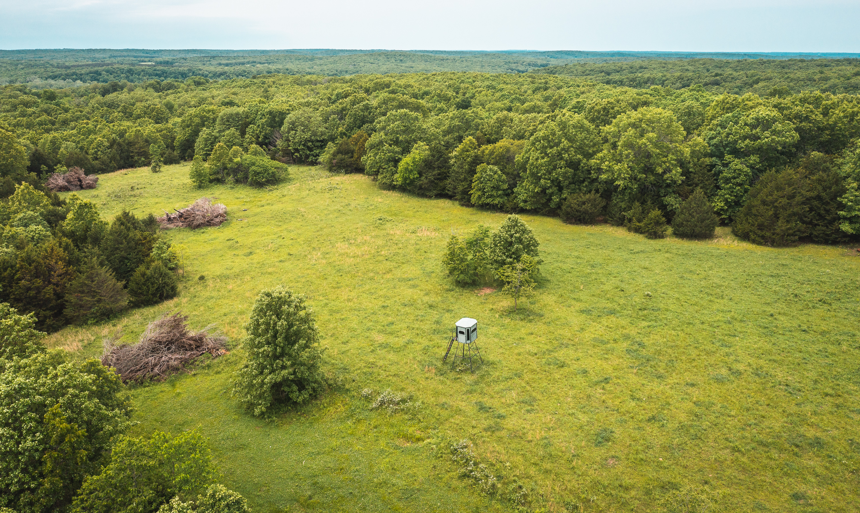 Gasconade Angus Ranch