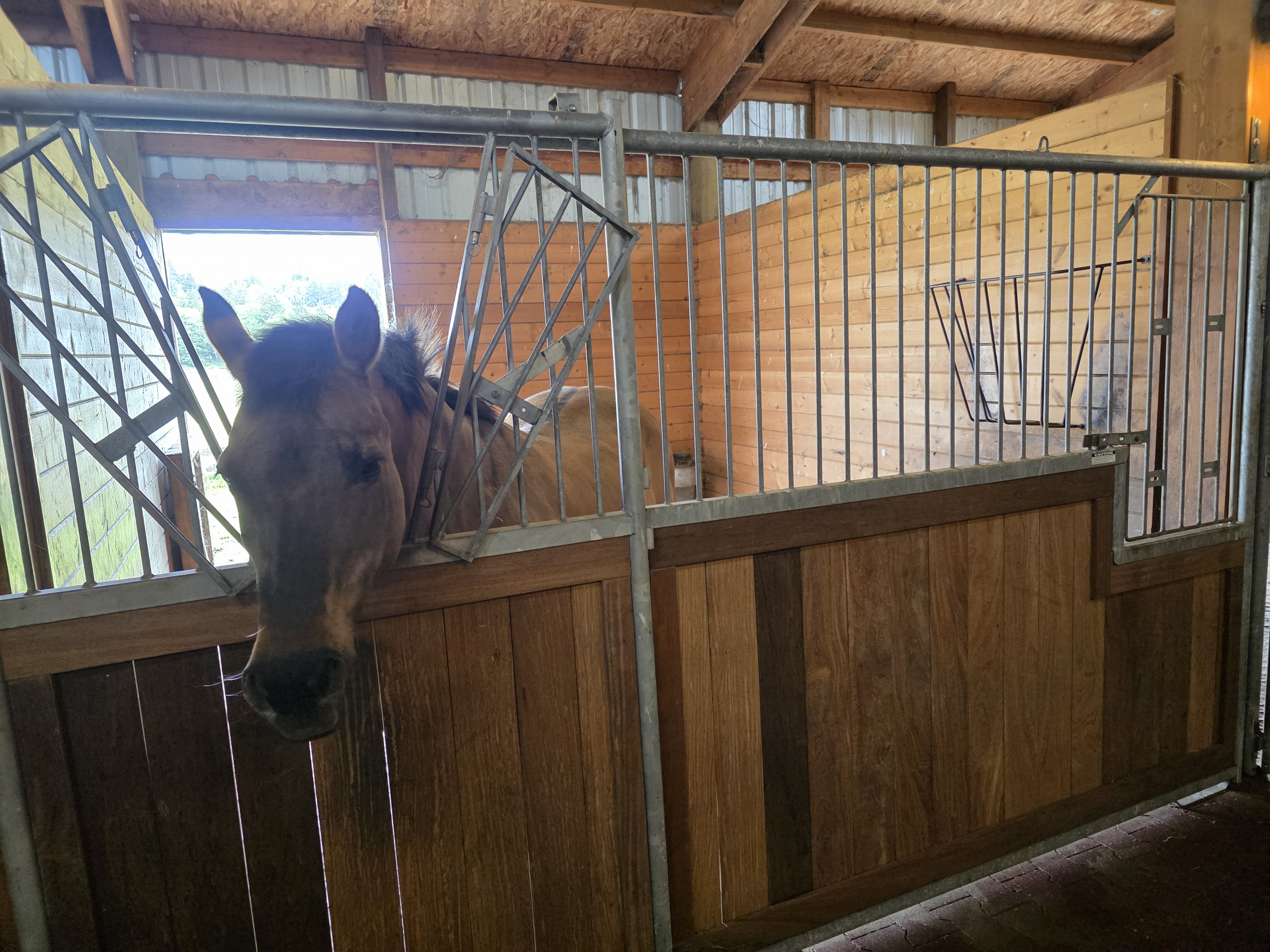 Tagg Ranch