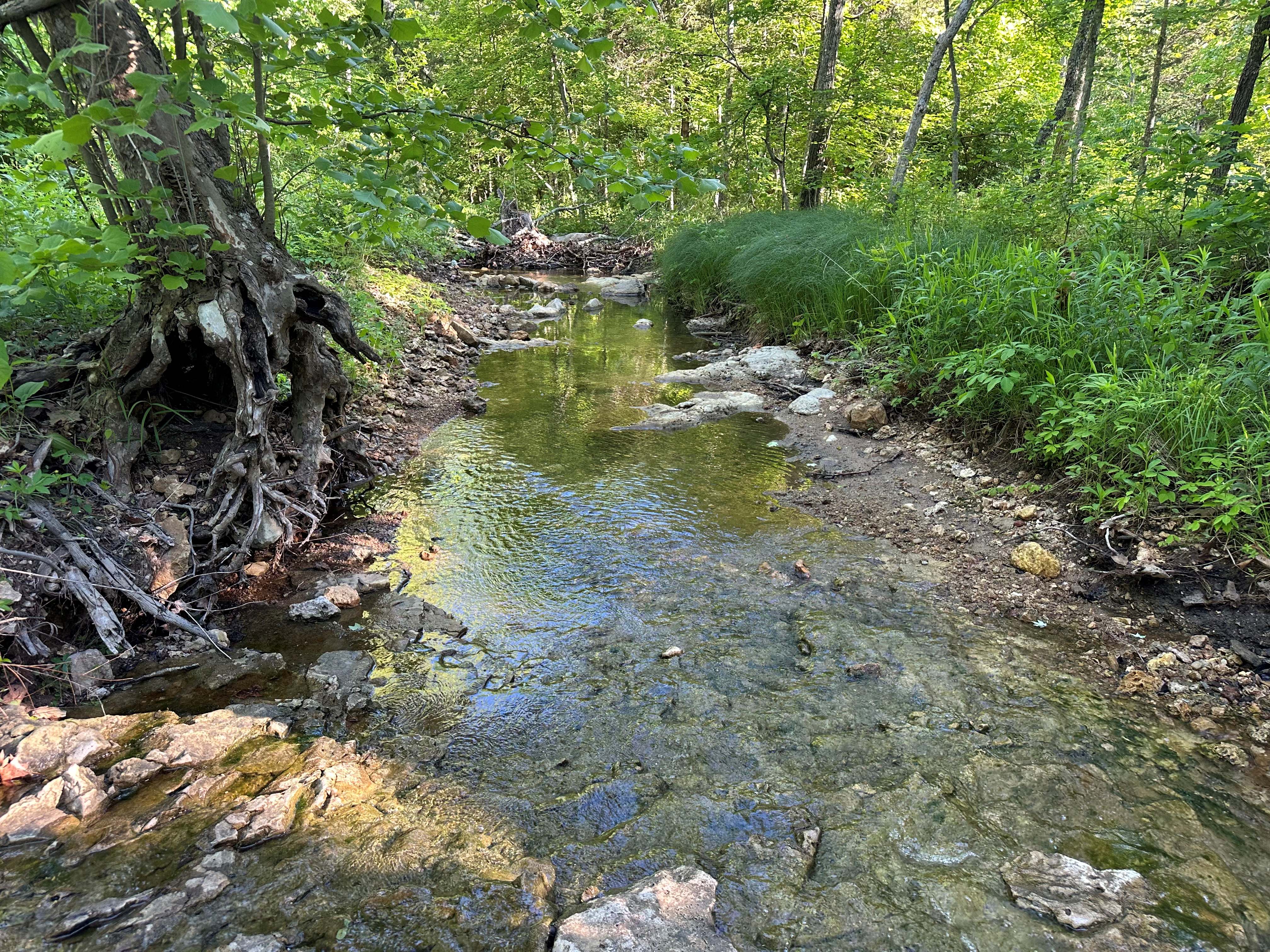 Mill Rock Creek 70