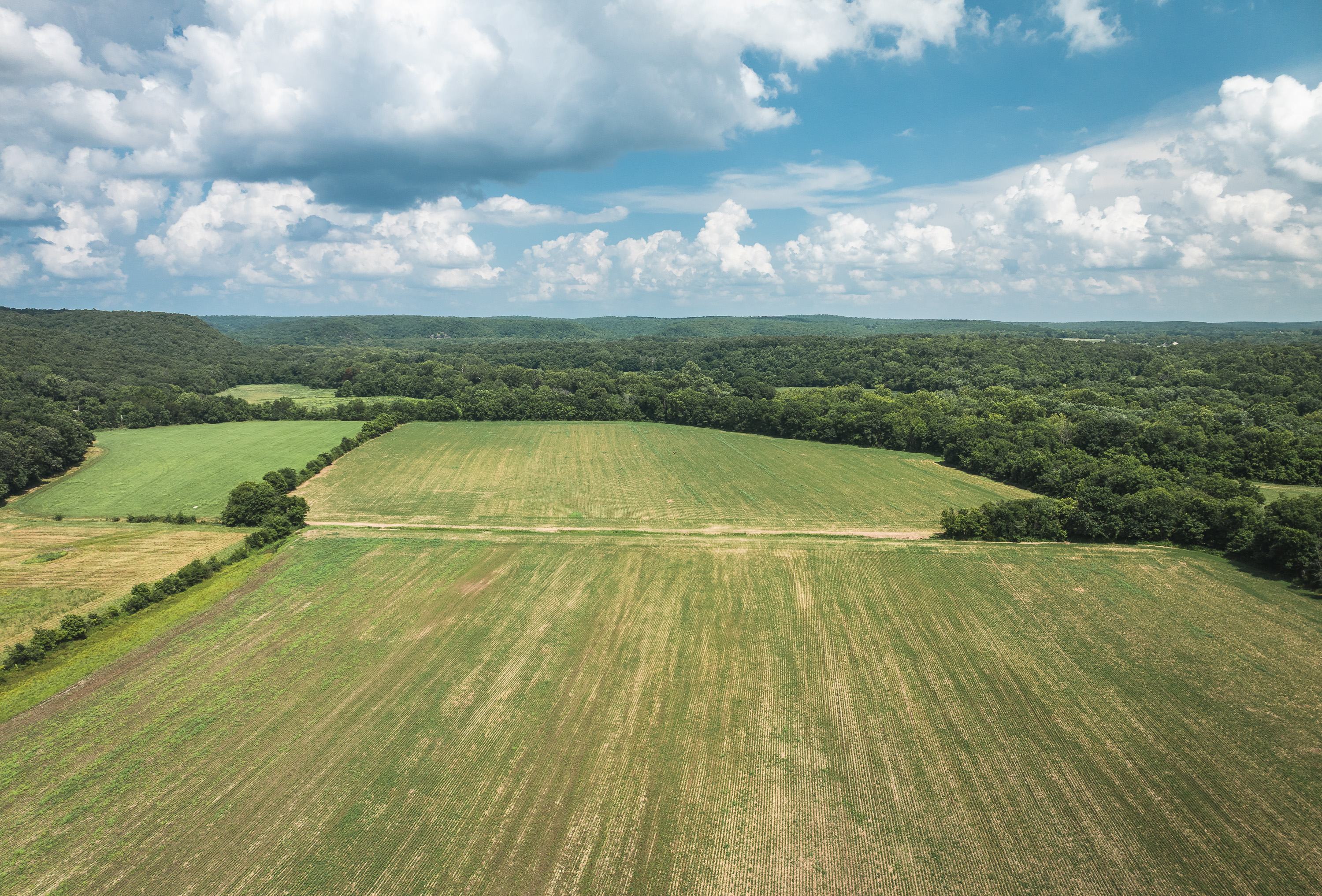 Gasconade Angus Ranch