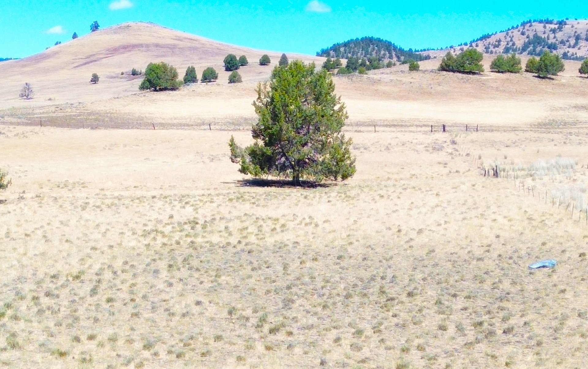 Crane Ranch