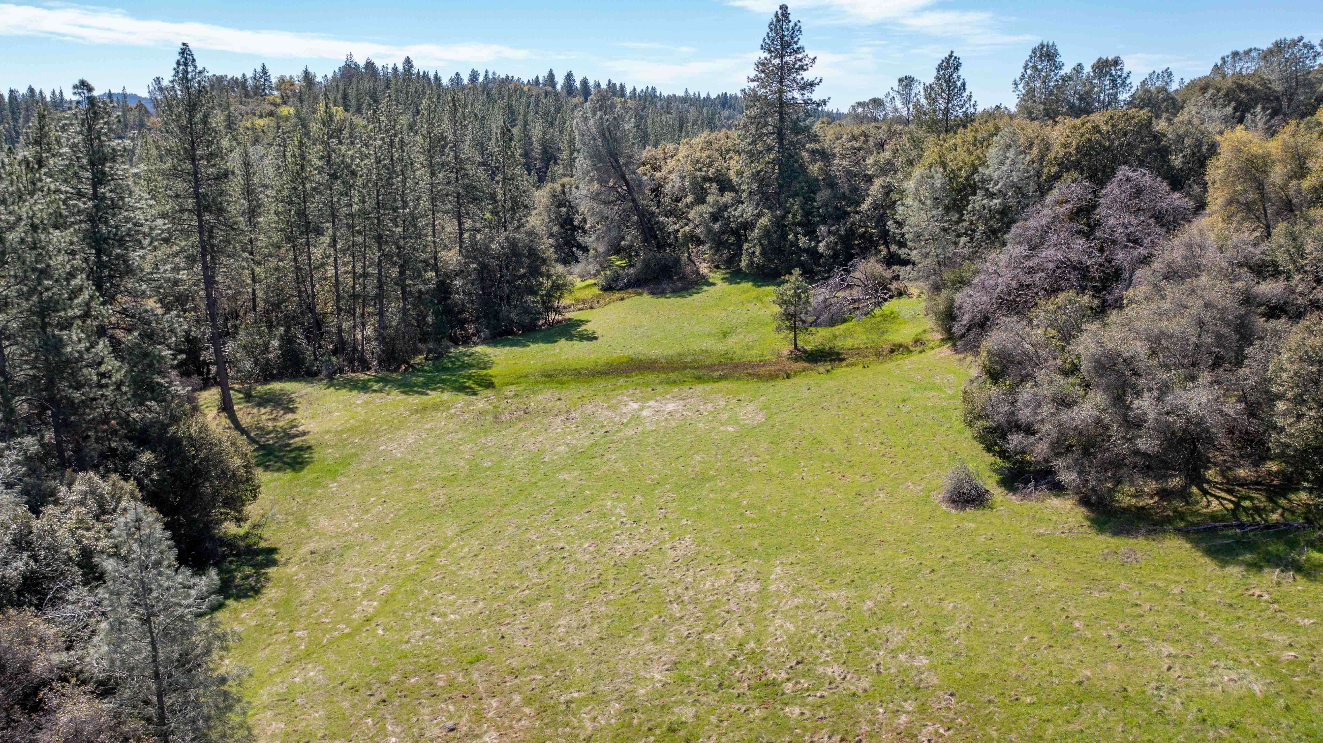 Listing Image 43