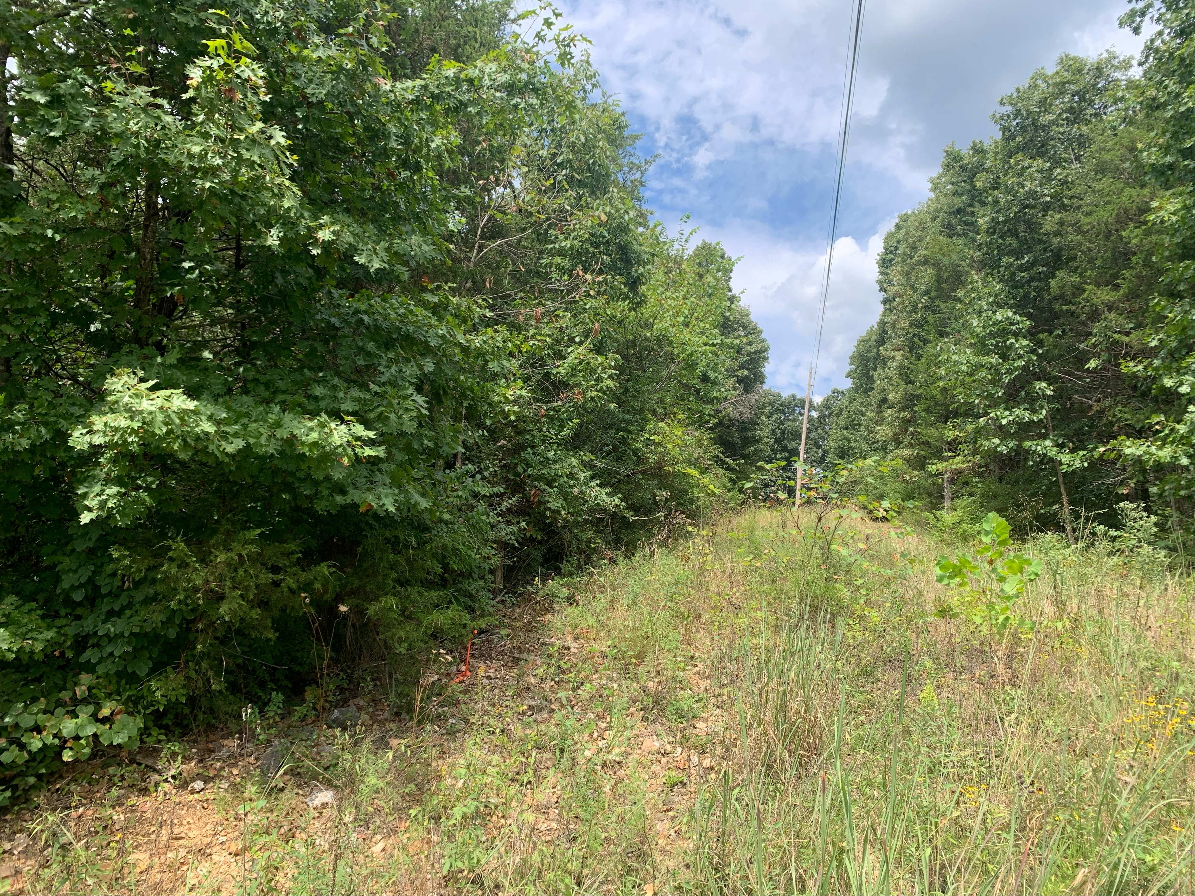 Cedar Grove 3