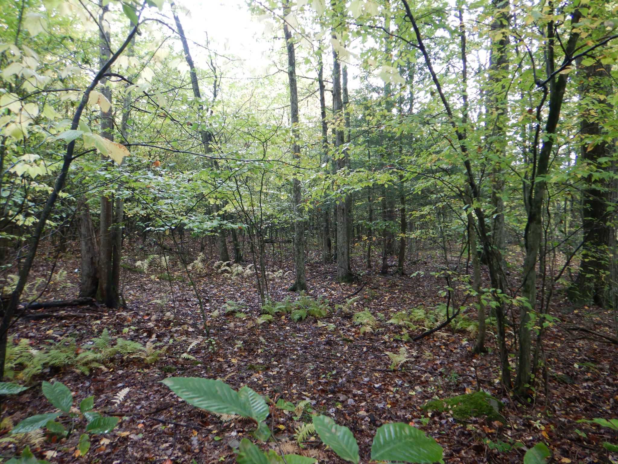 Listing Image 31