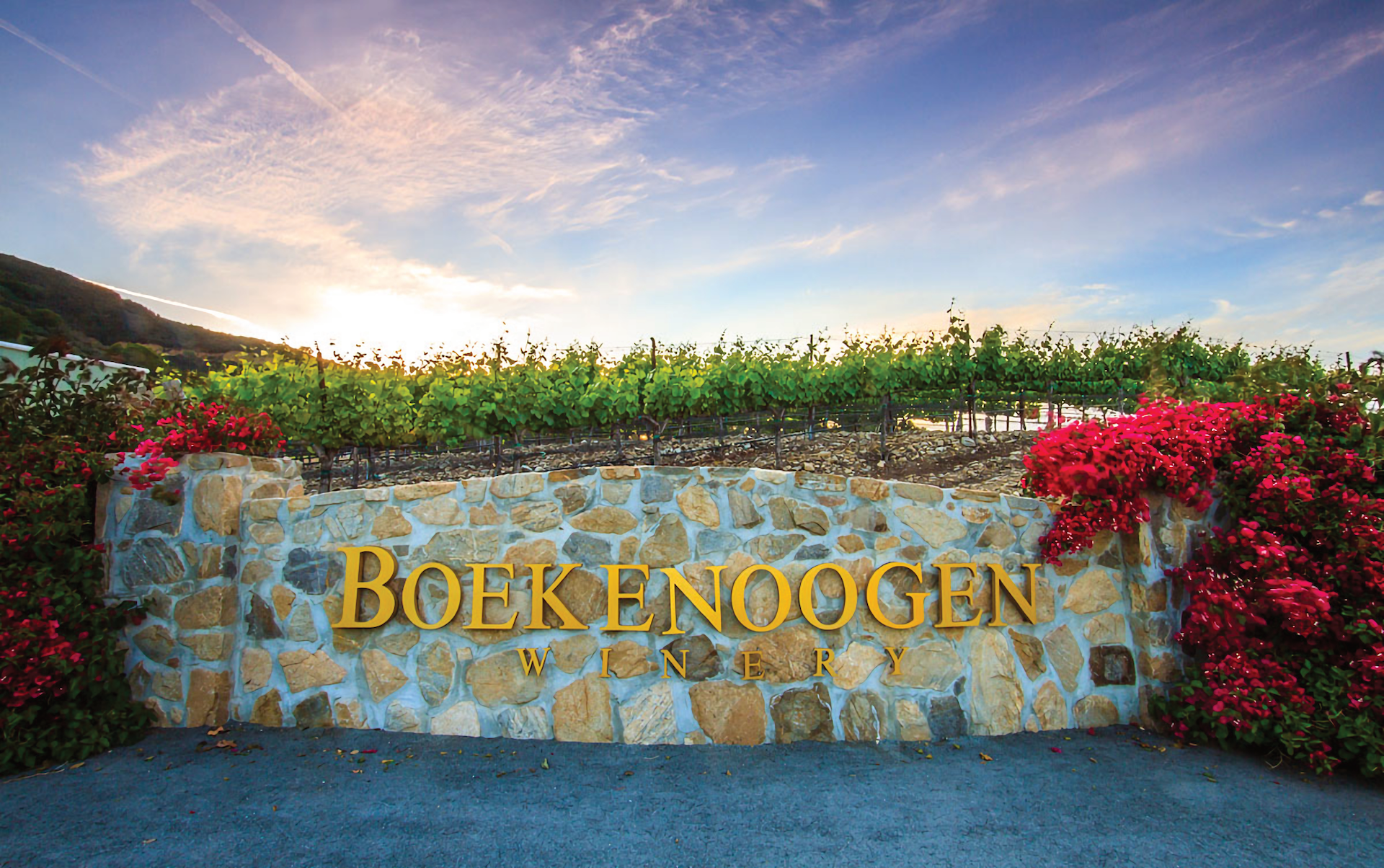Boekenoogen Santa Lucia Highlands Vineyard