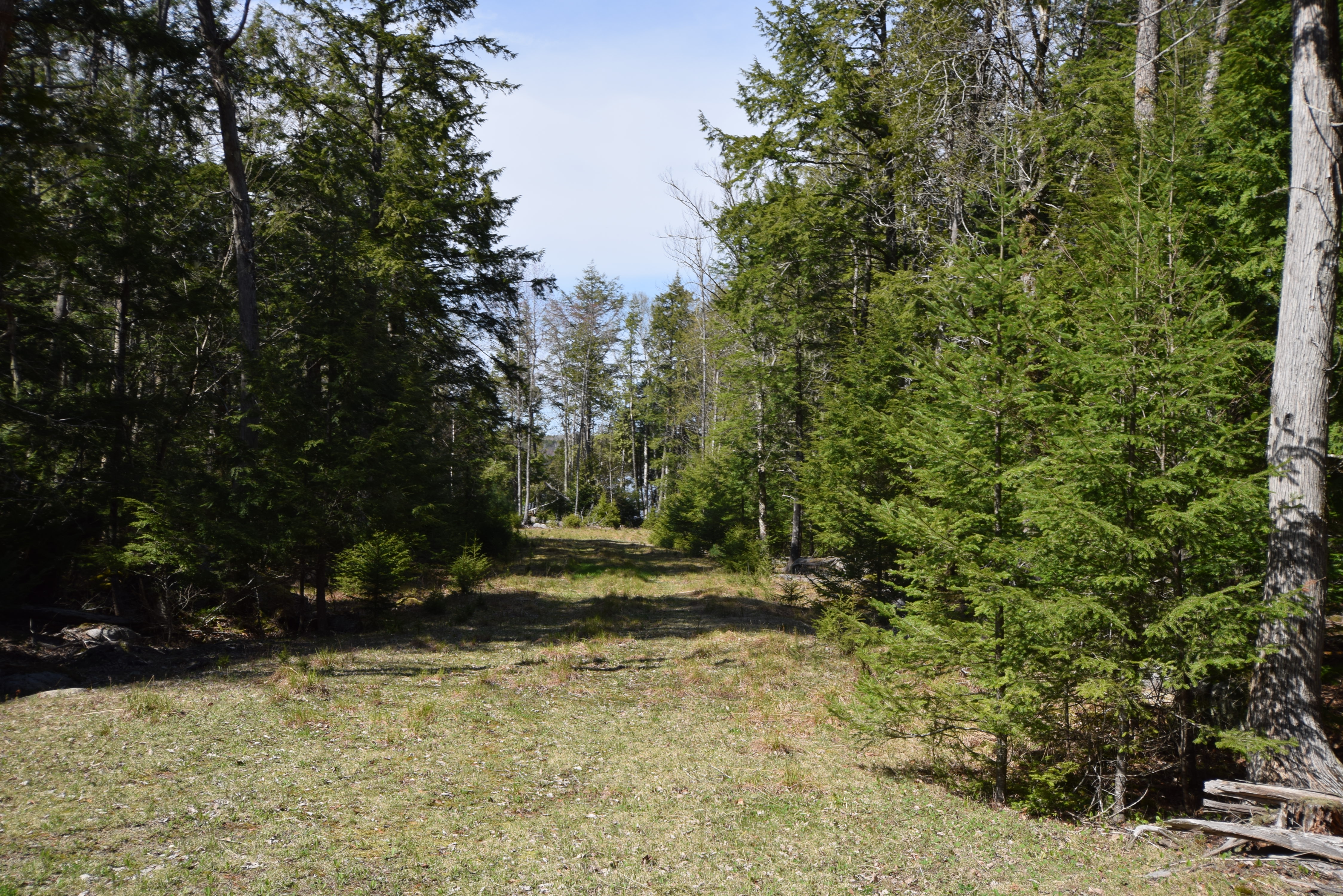 Long Lake Lot