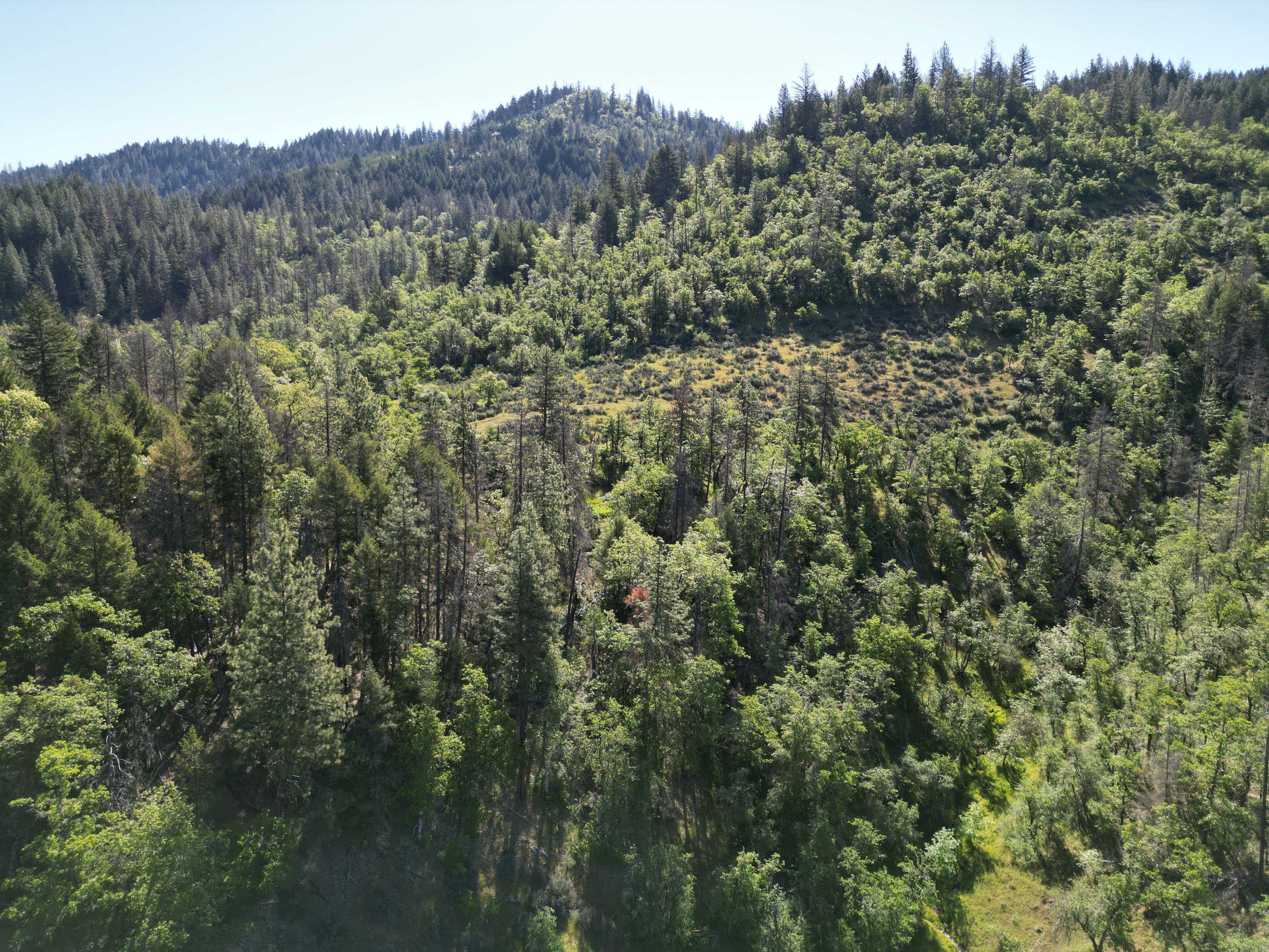 Elk Creek Road TL 2205