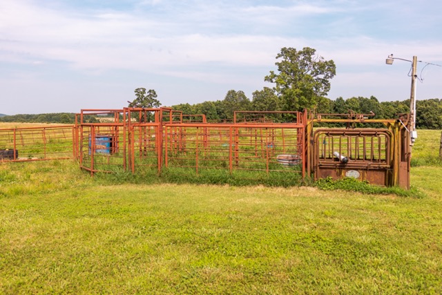 7 Pasture Farm