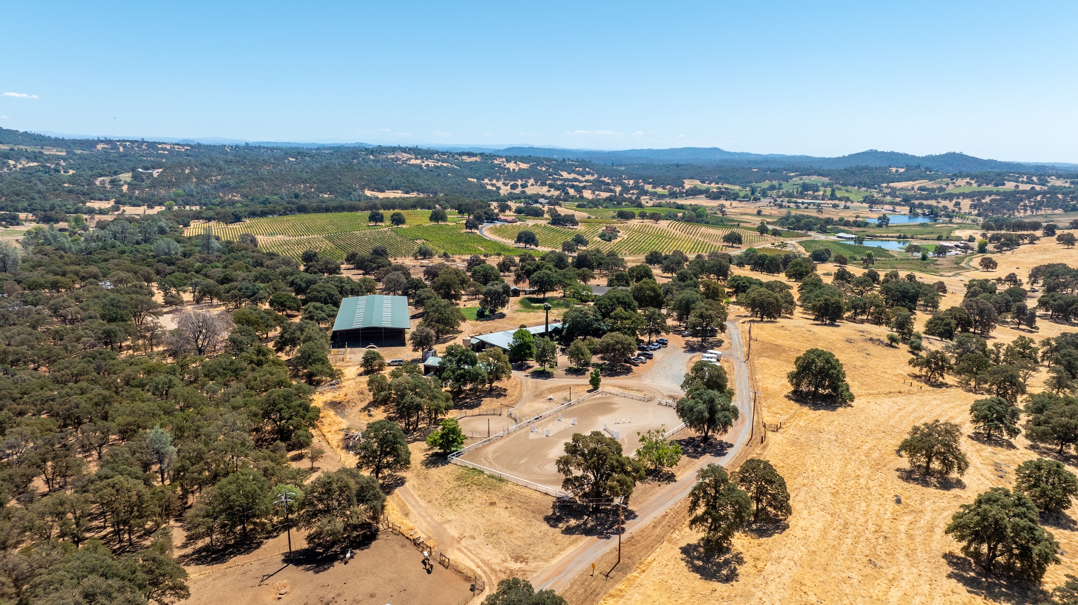 Blue Fountain Farm