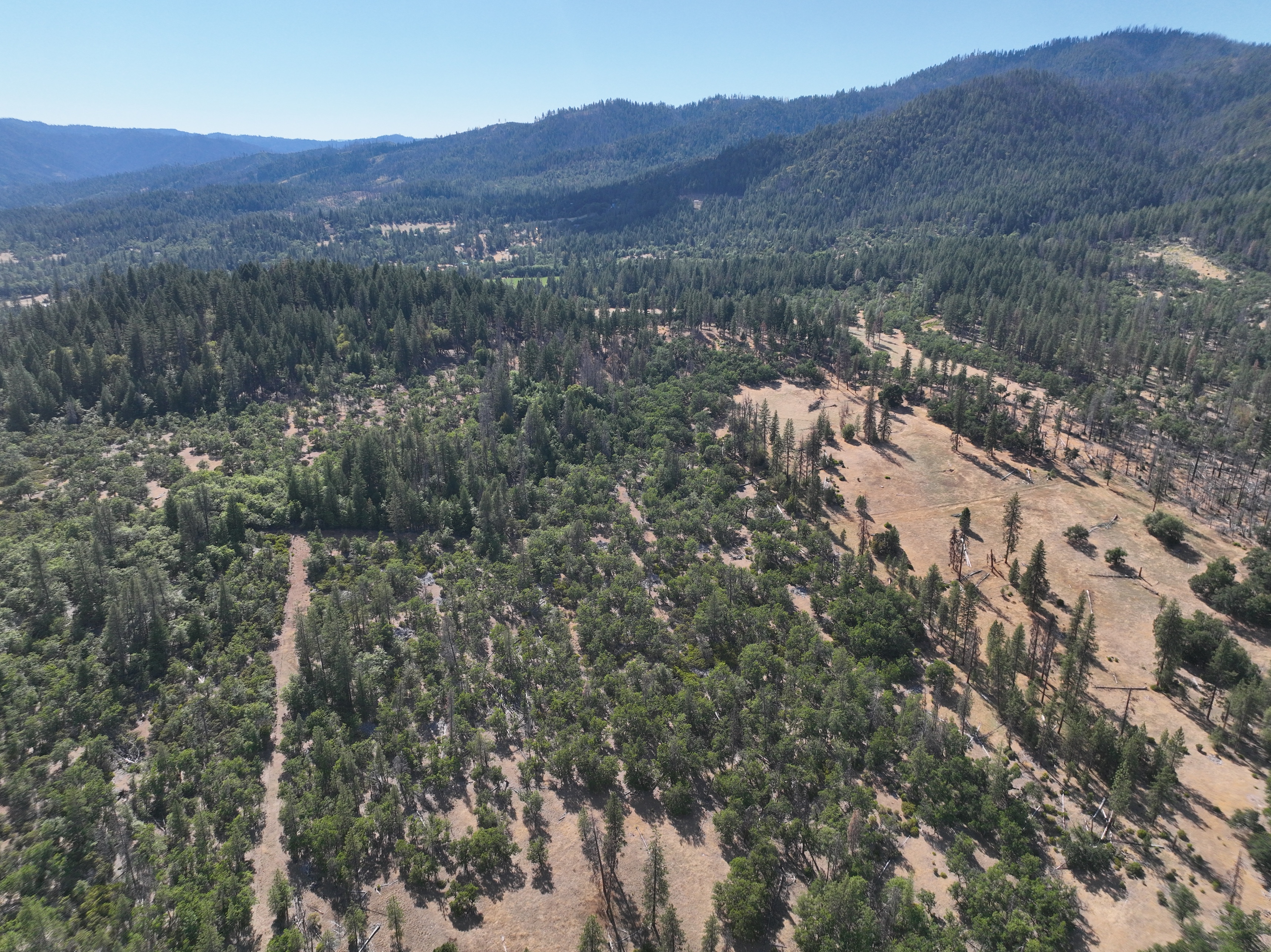 240 Acres Hayfork