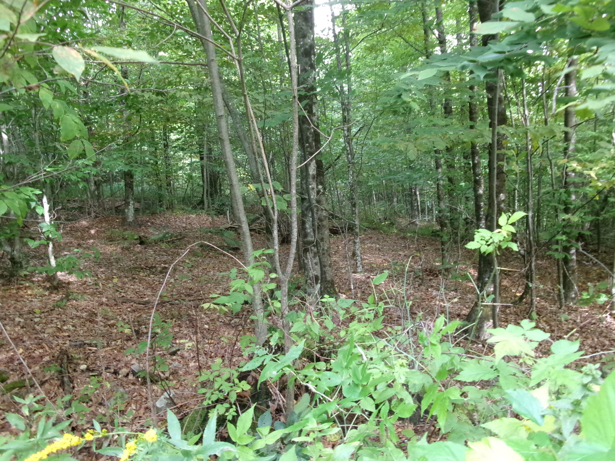 Listing Image 32