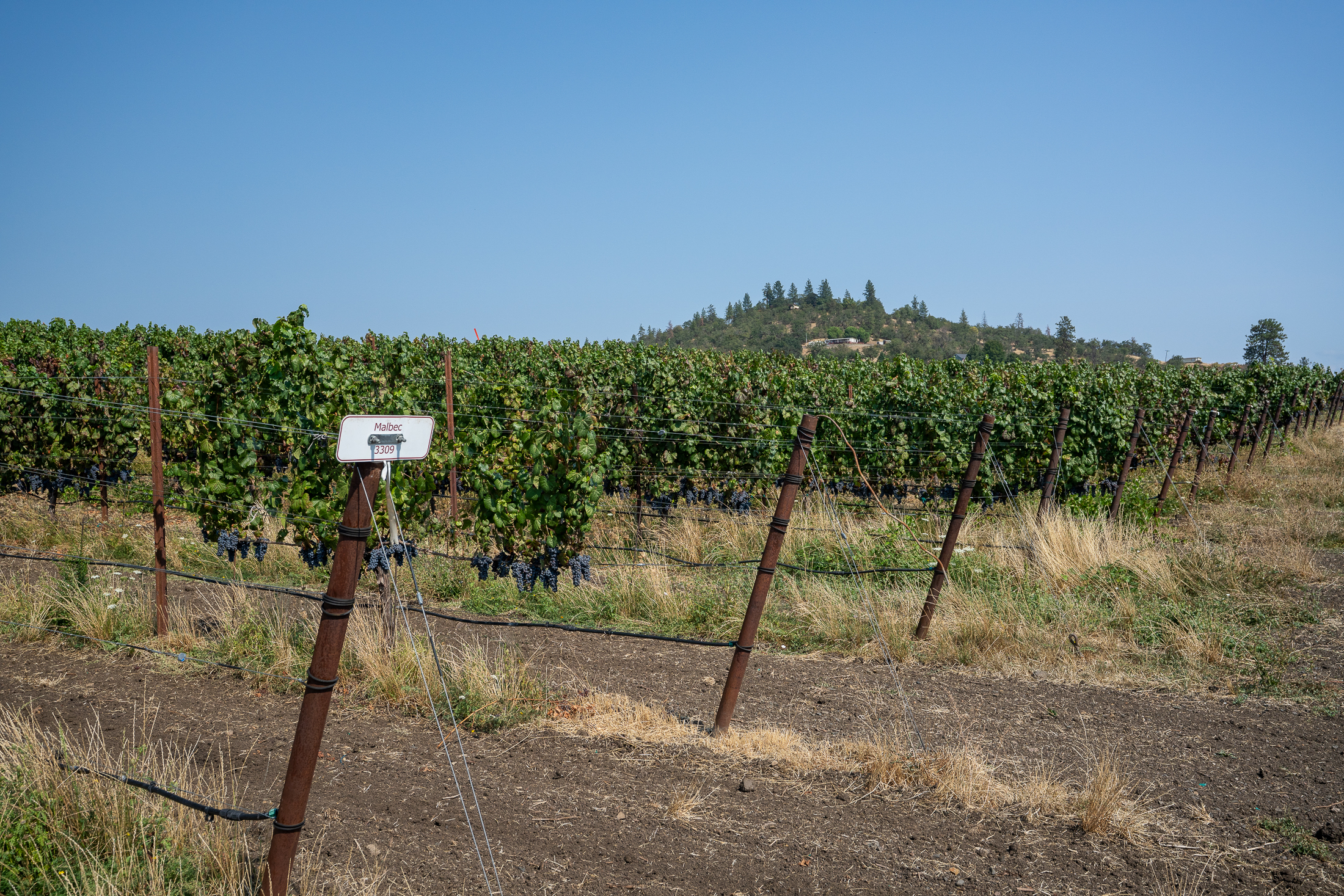 Listing Image 68