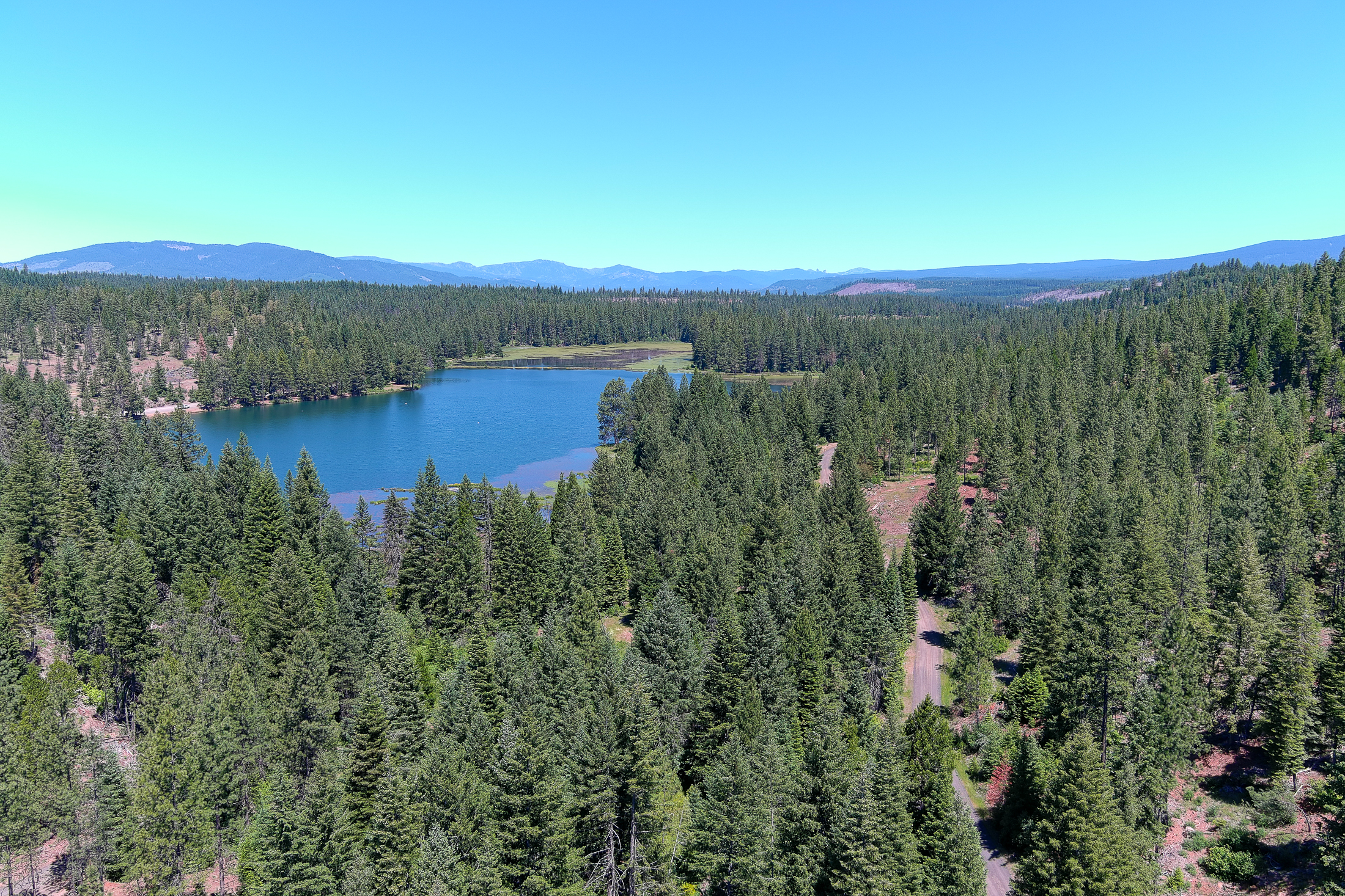 Medco Pond- Recreational Retreat