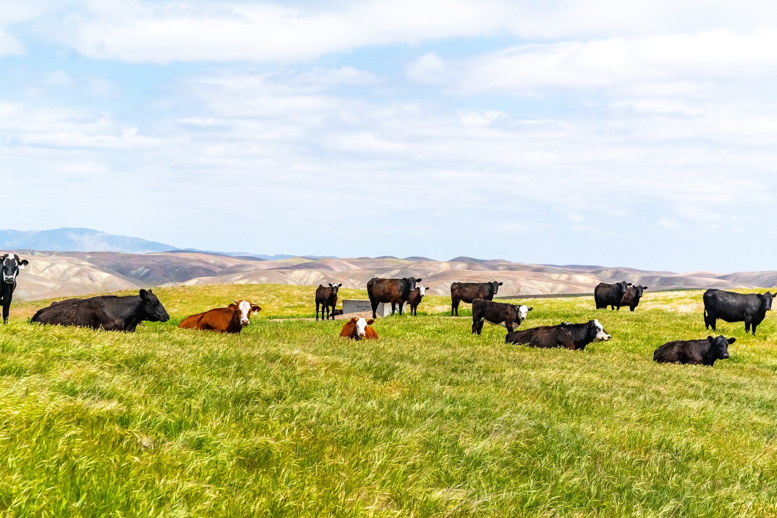 Pritchard Sumner Ranch