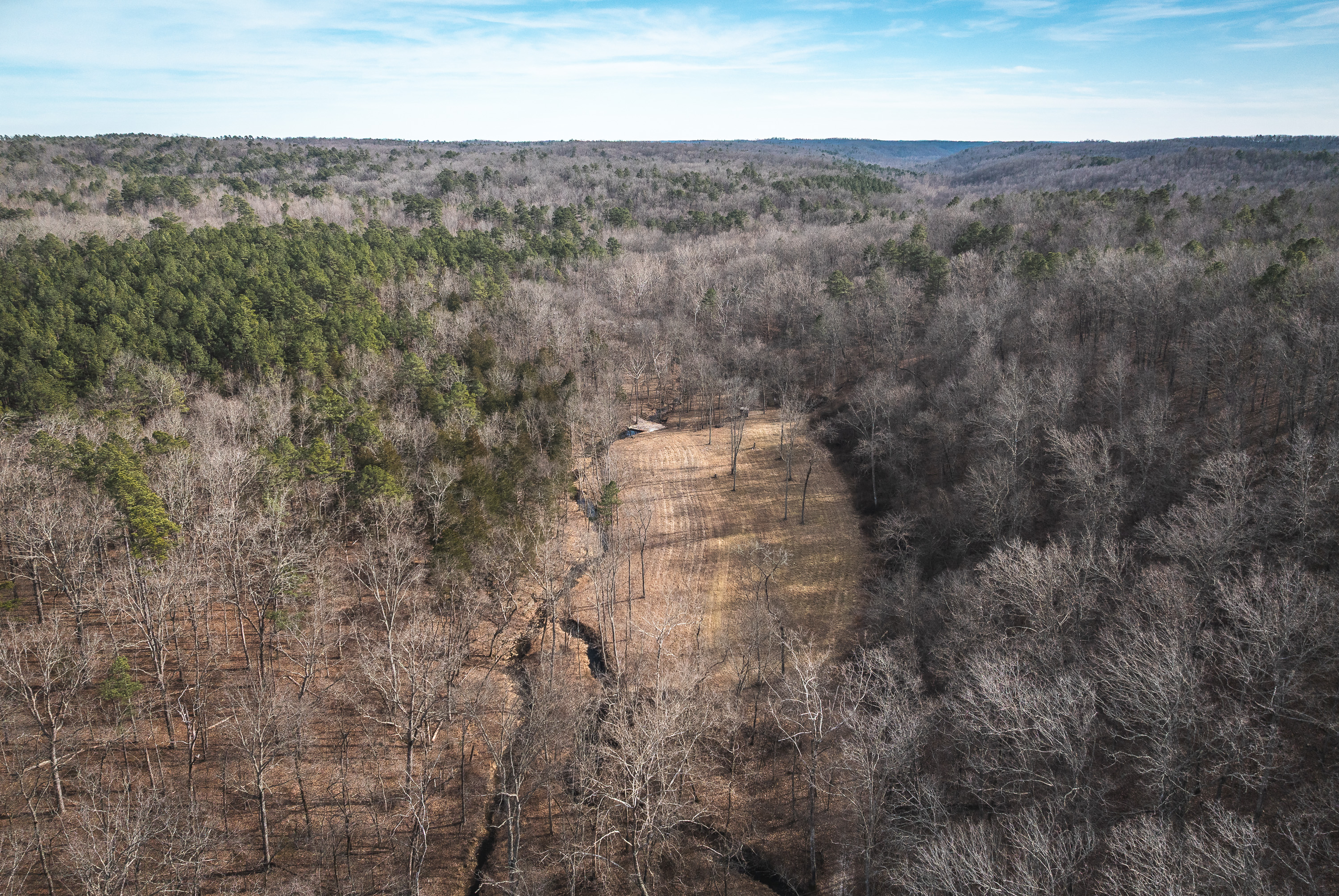 Curly Hole Camp at Peterball Spring