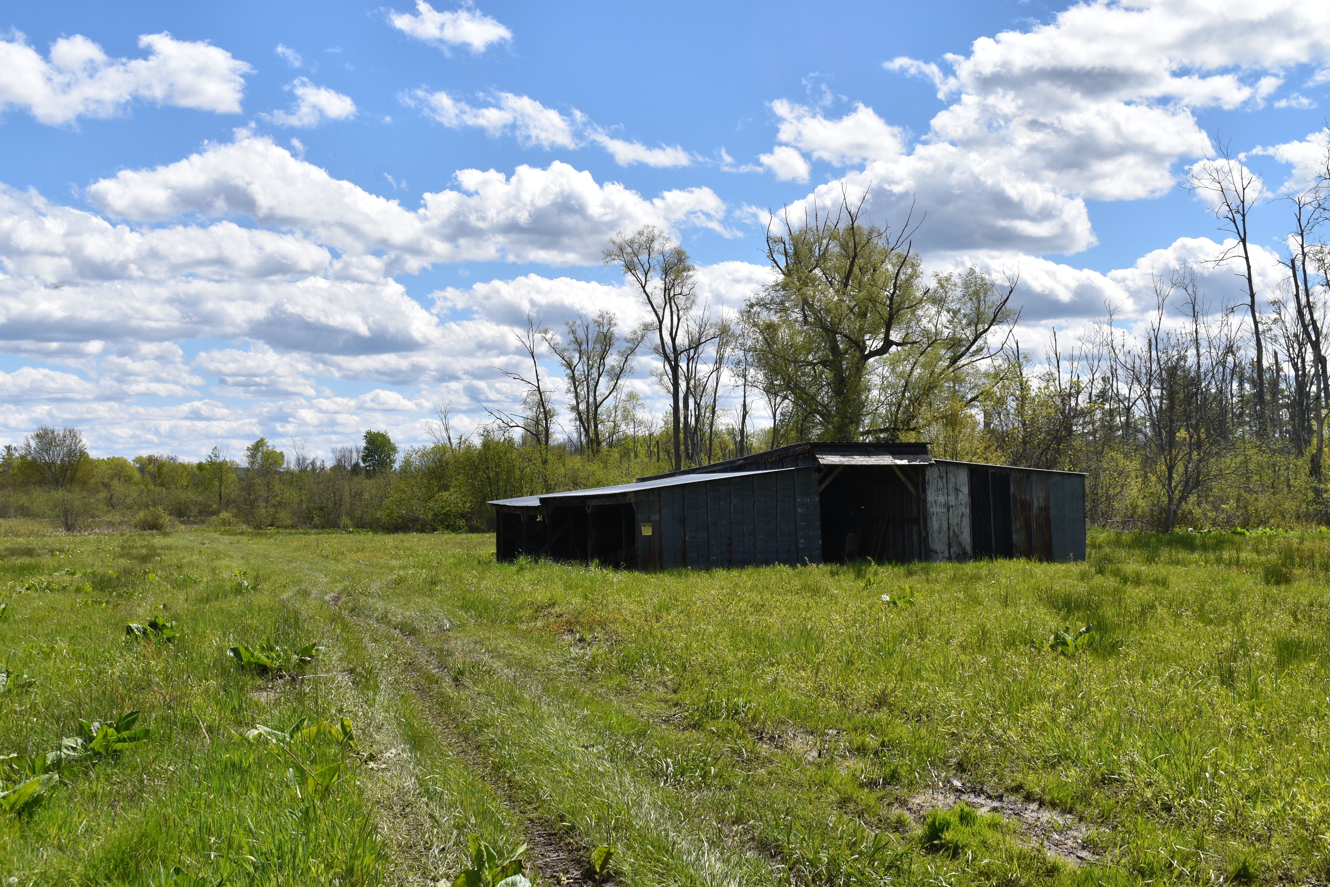 Listing Image 29