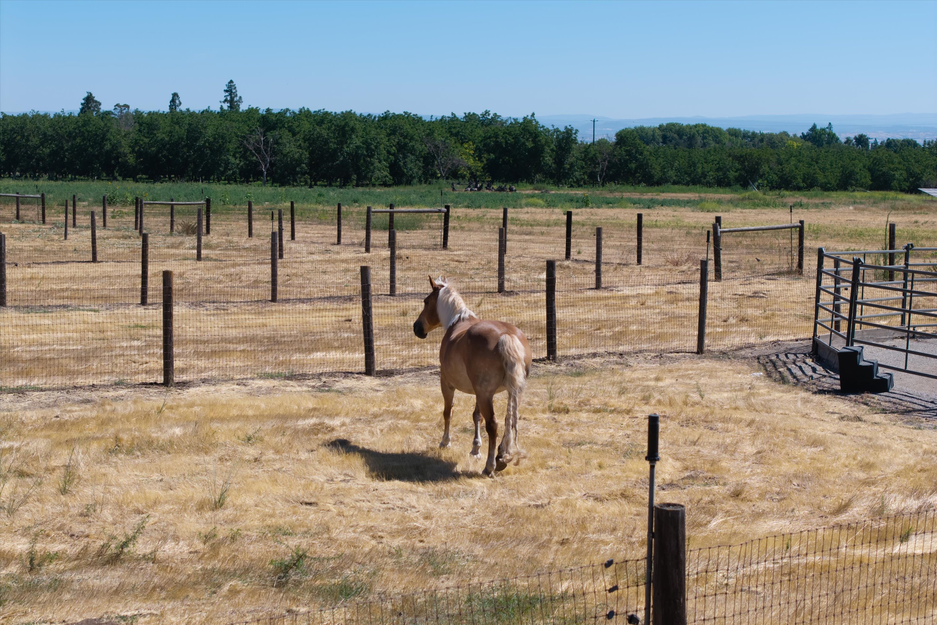 Woodard Ranch