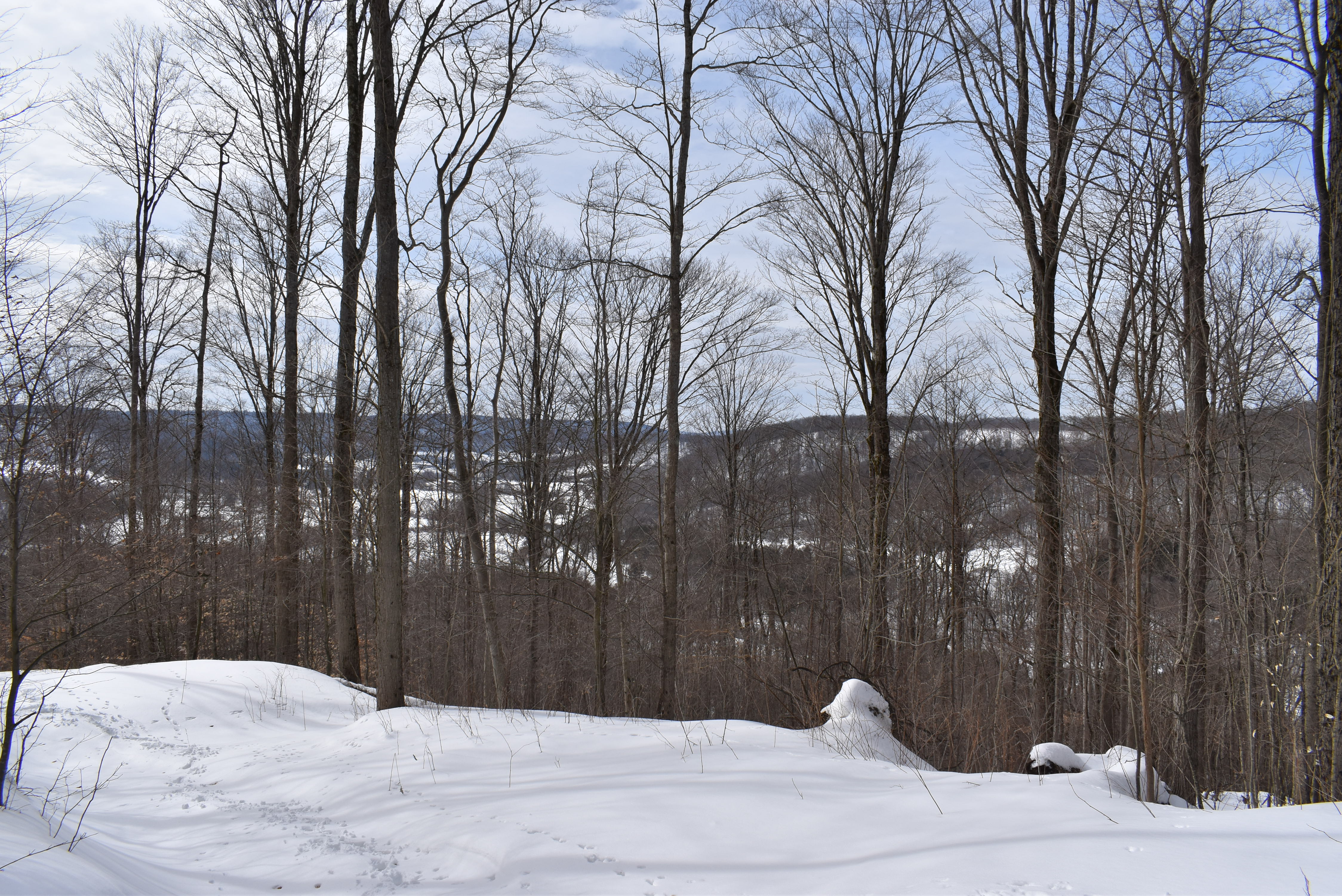 Morgan Hollow