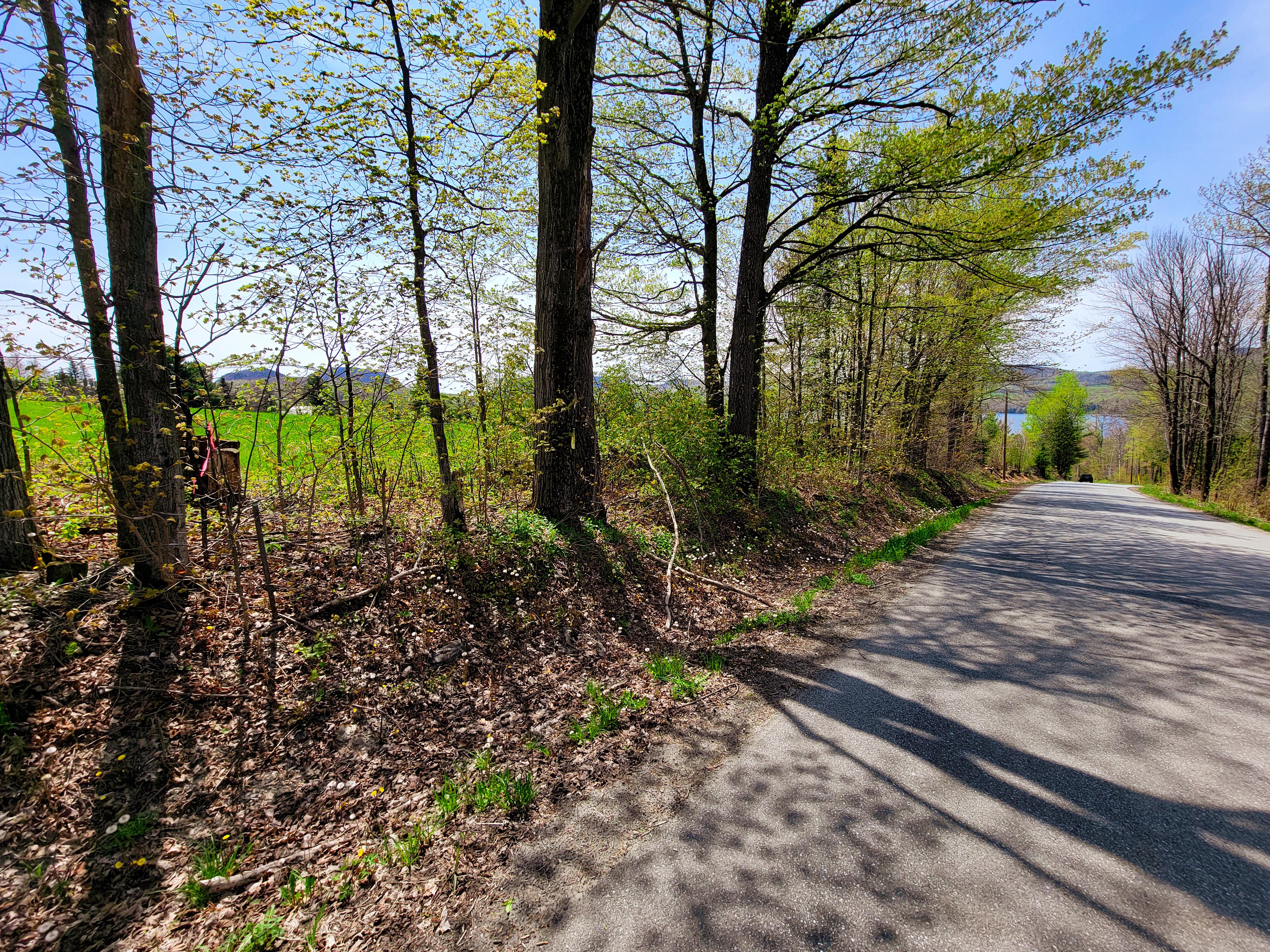 350 Hinton Hill Rd - Westmore