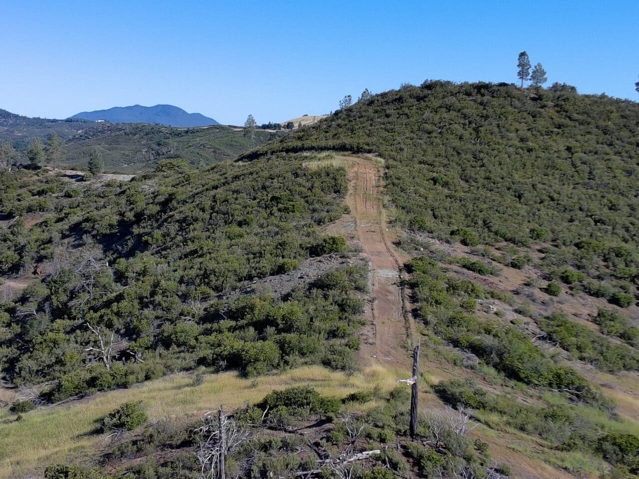 Listing Image 51