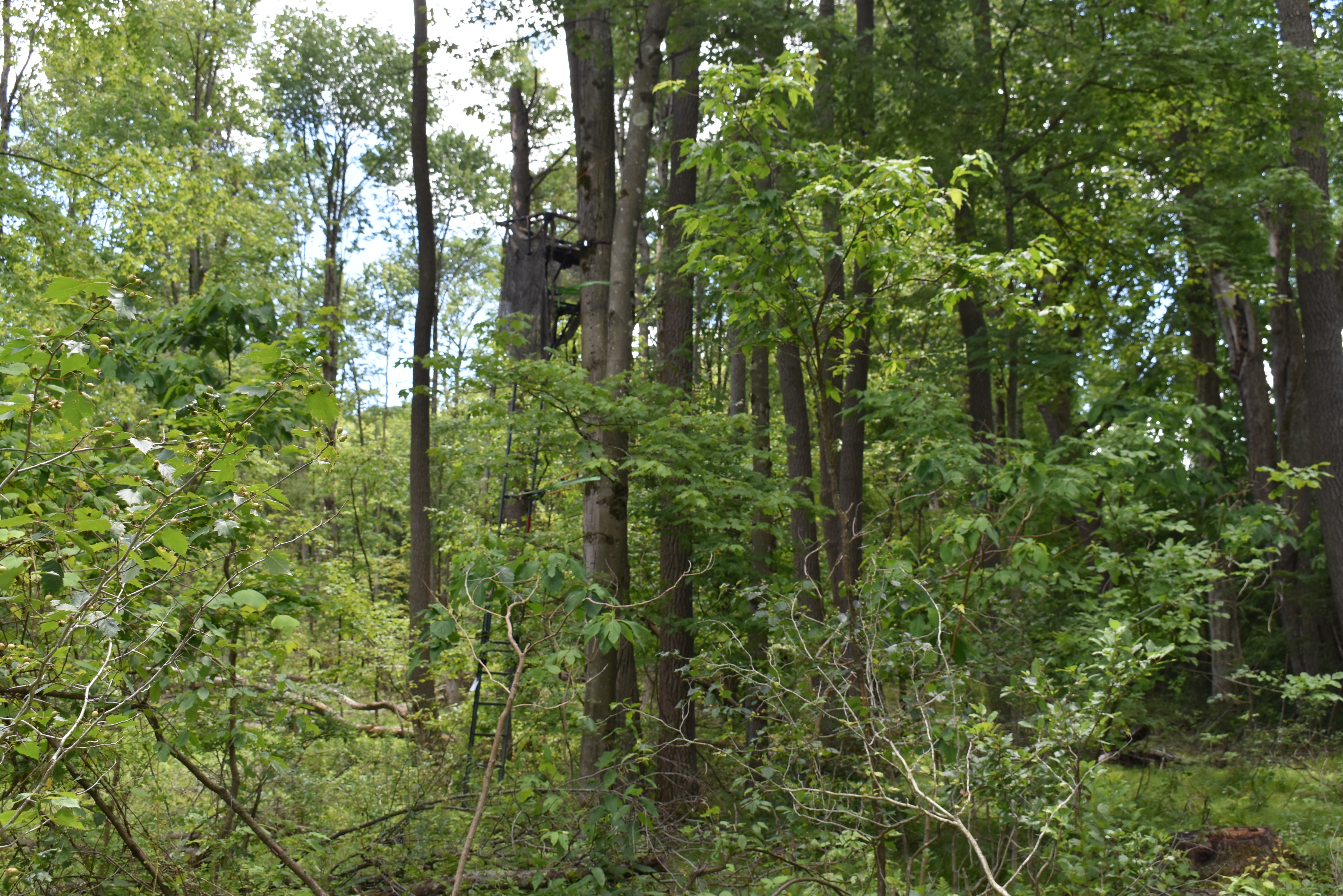Listing Image 12