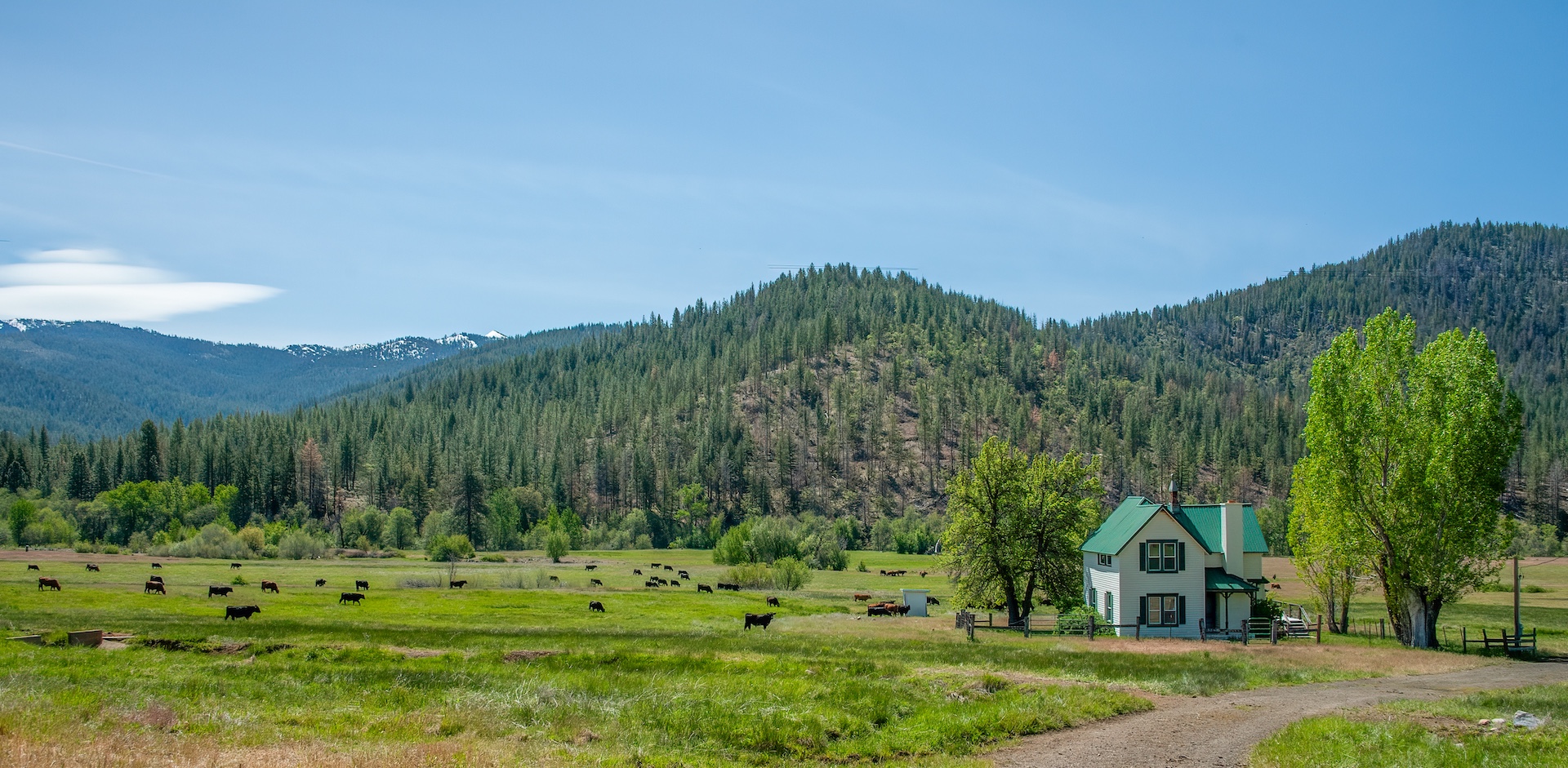 AP Ranch