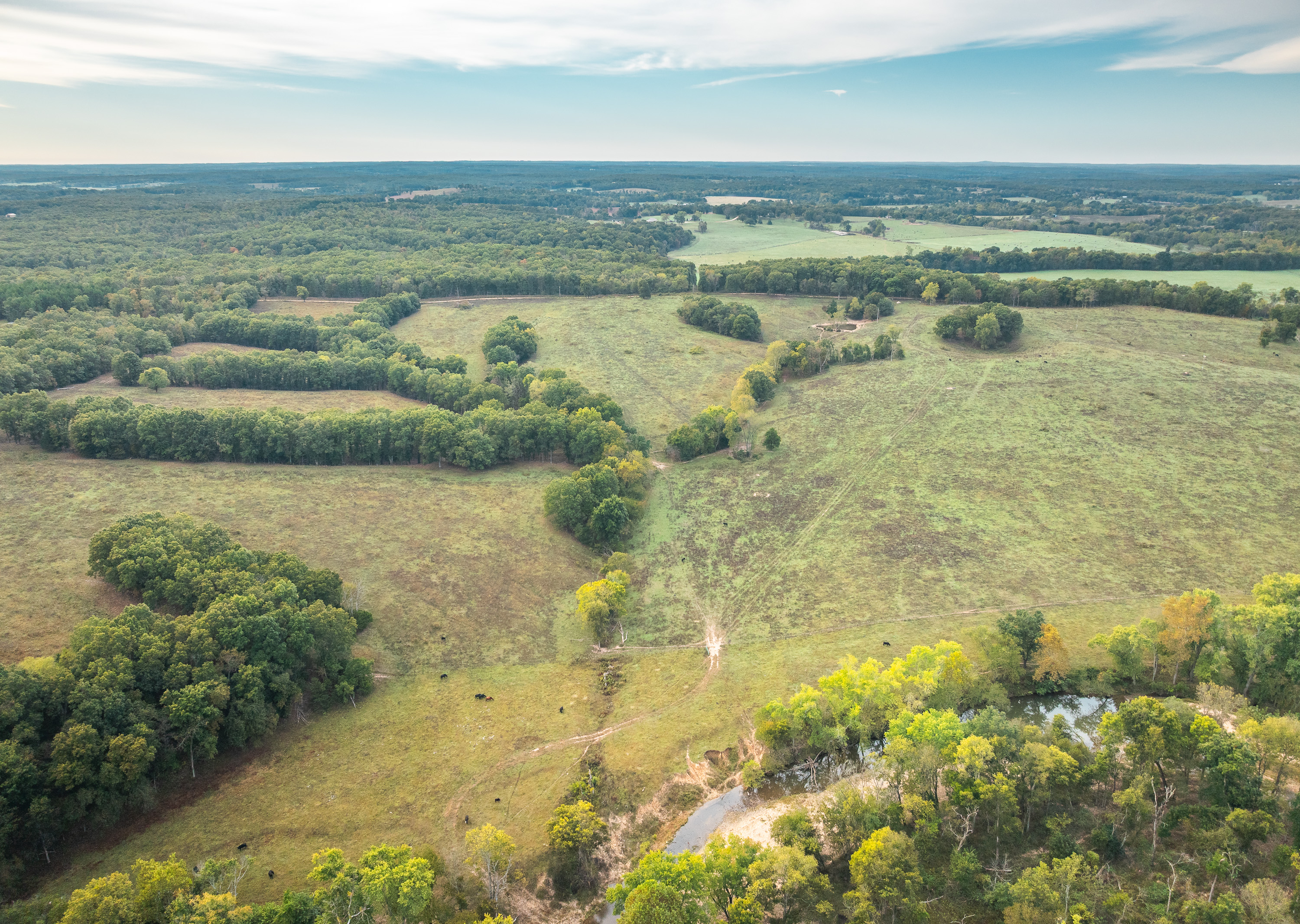 Listing Image 80
