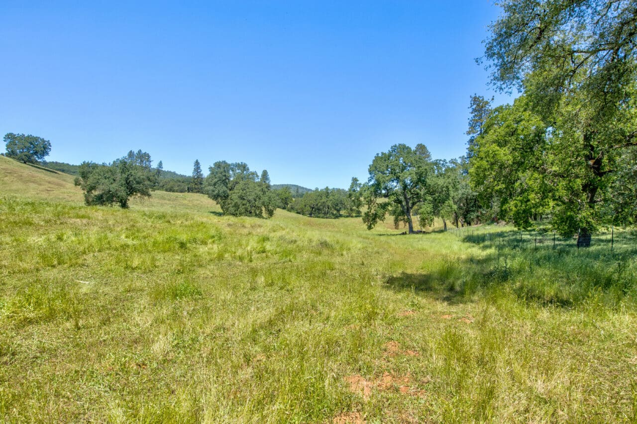 Listing Image 59