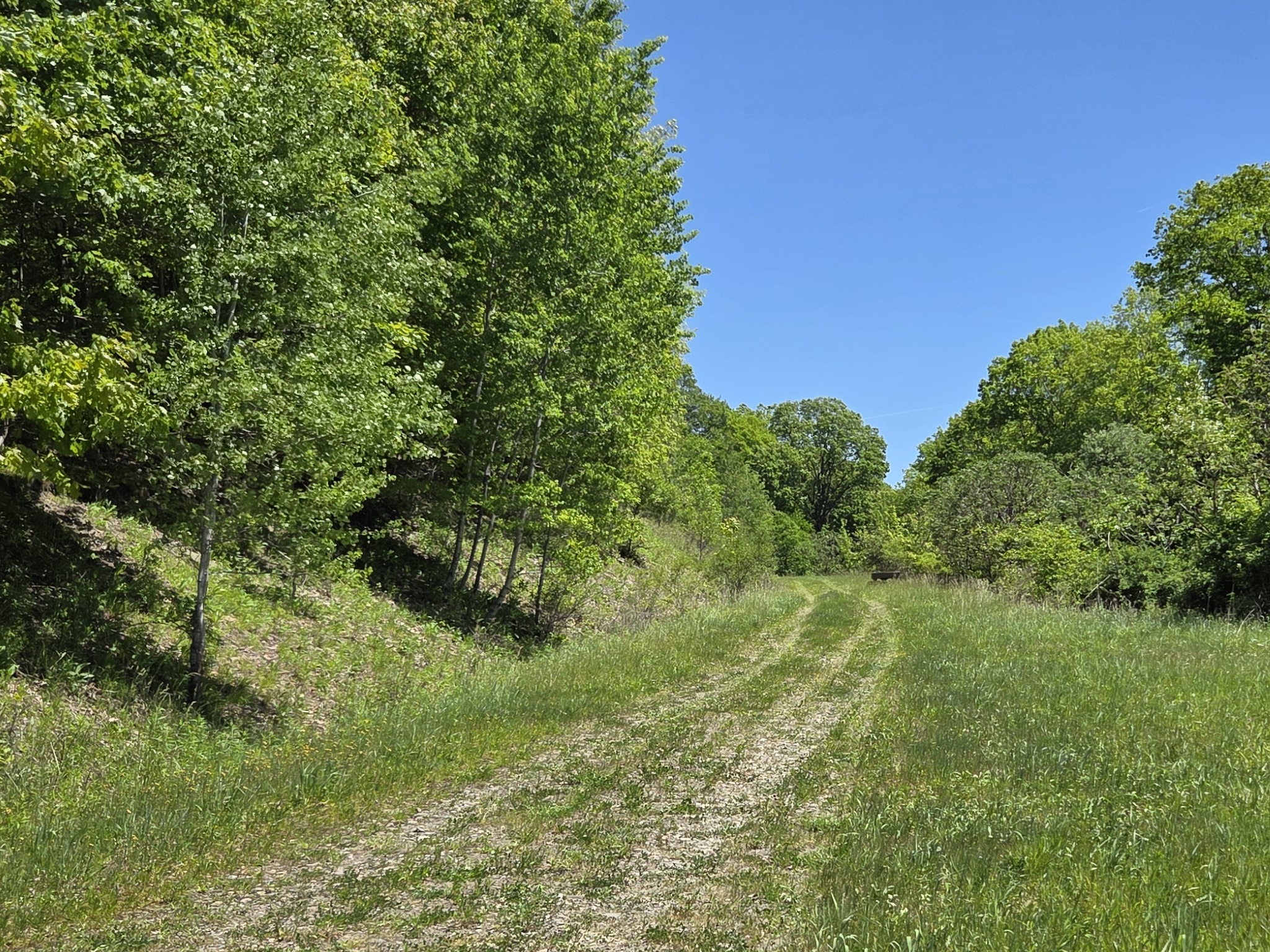 Listing Image 28