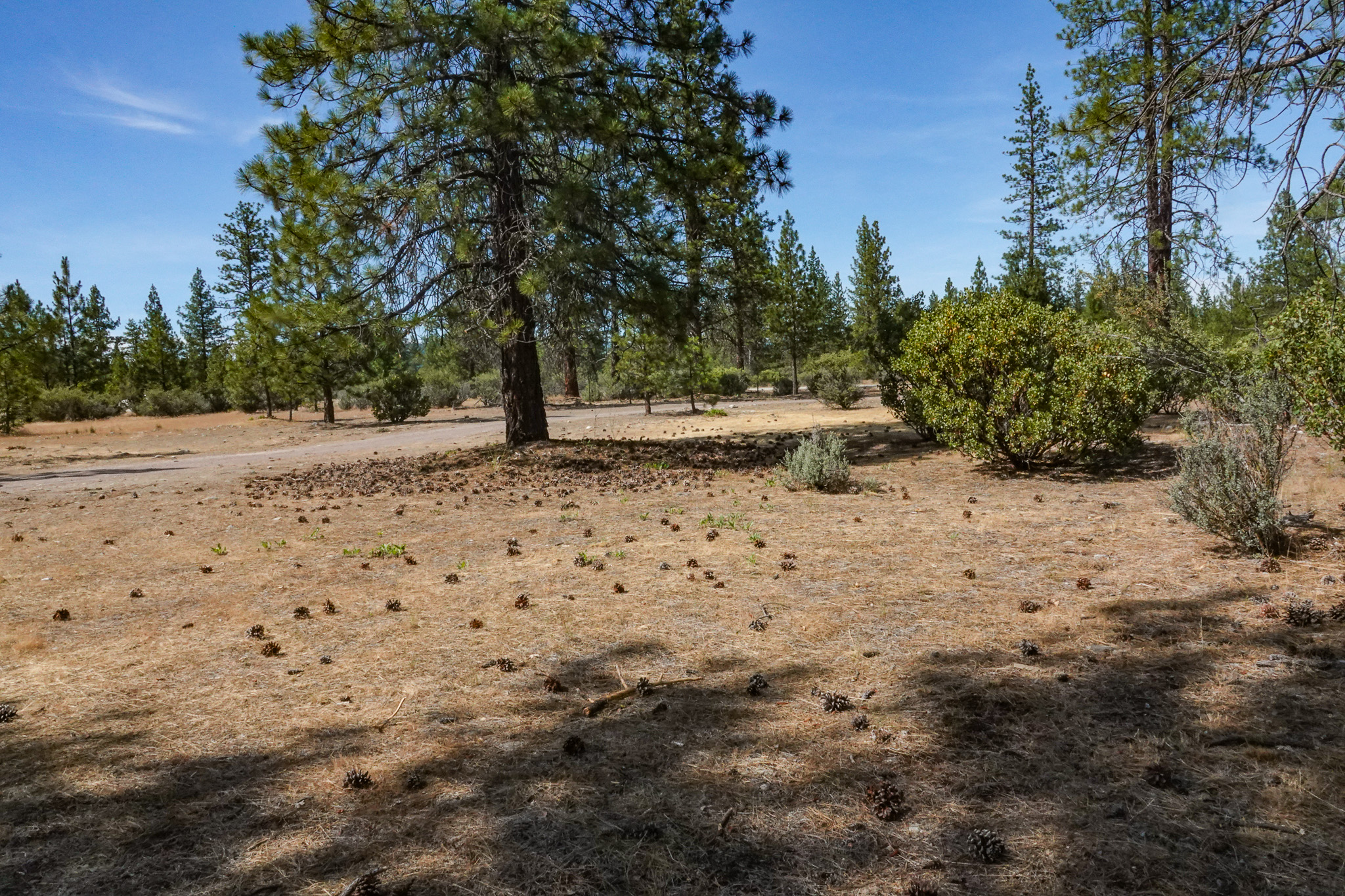 Listing Image 46