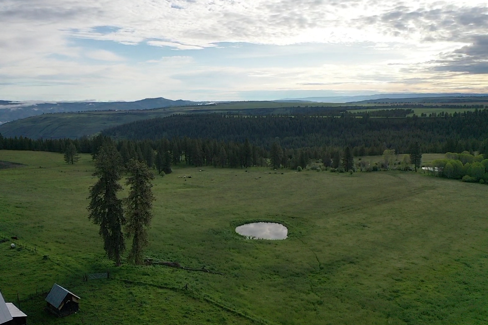 Buford Ridge Ranch