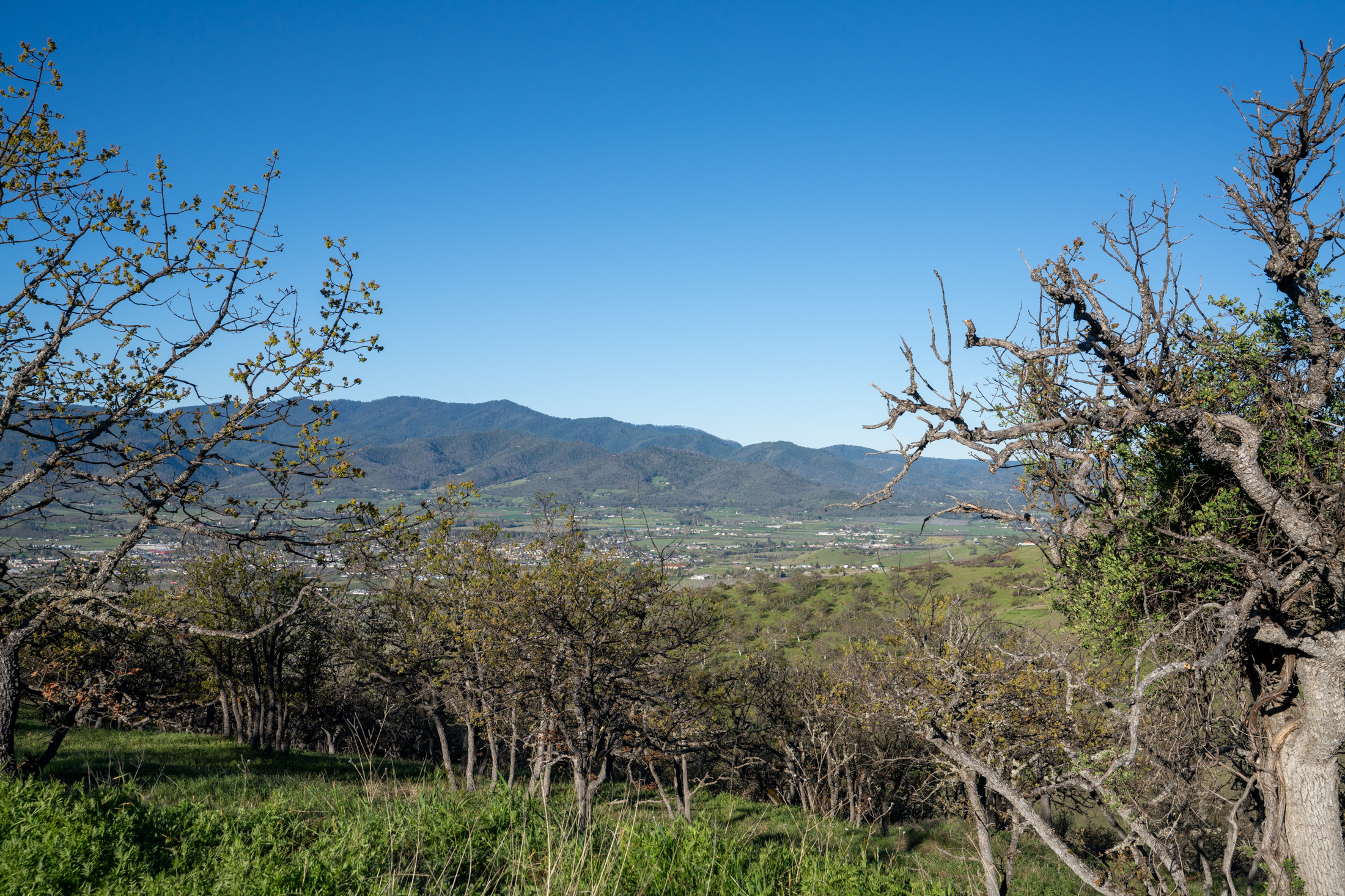 500 Canyon Hills Dr.