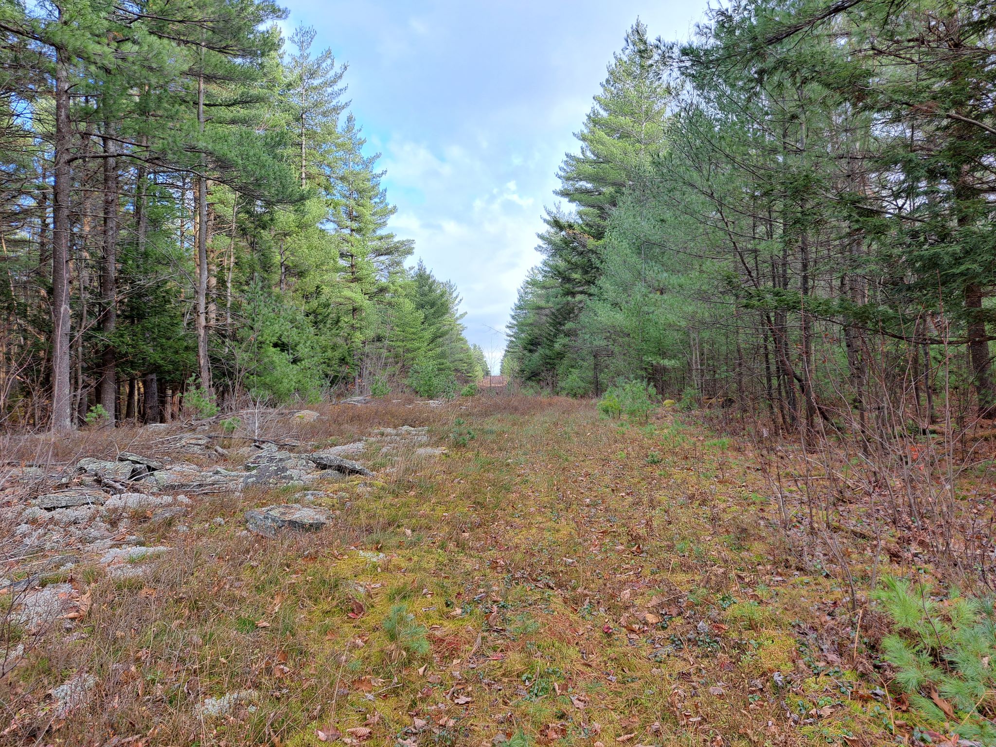 Listing Image 33