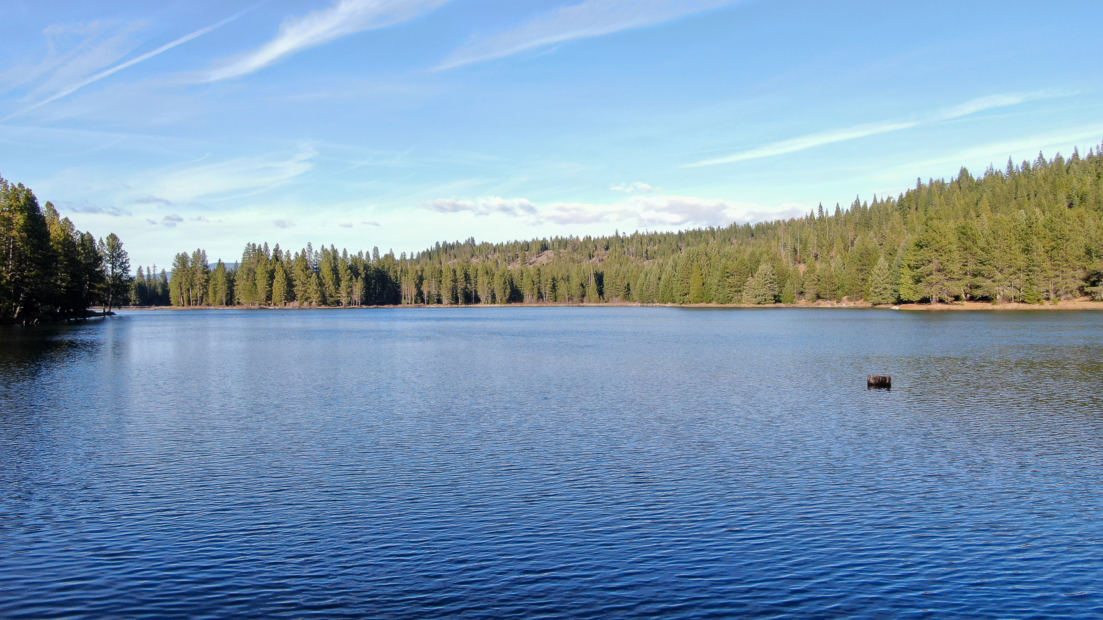 Medco Pond- Recreational Retreat