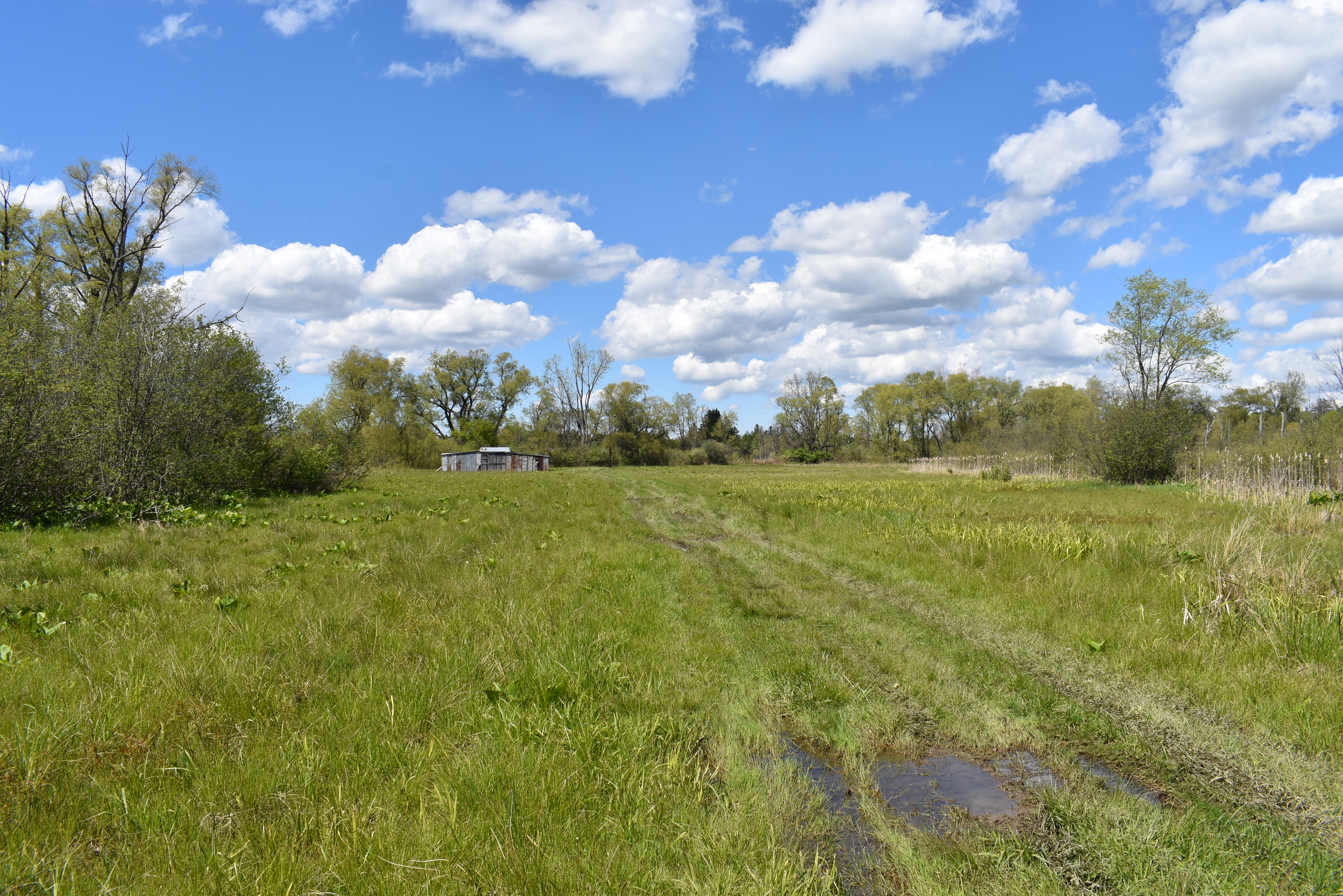 Listing Image 39
