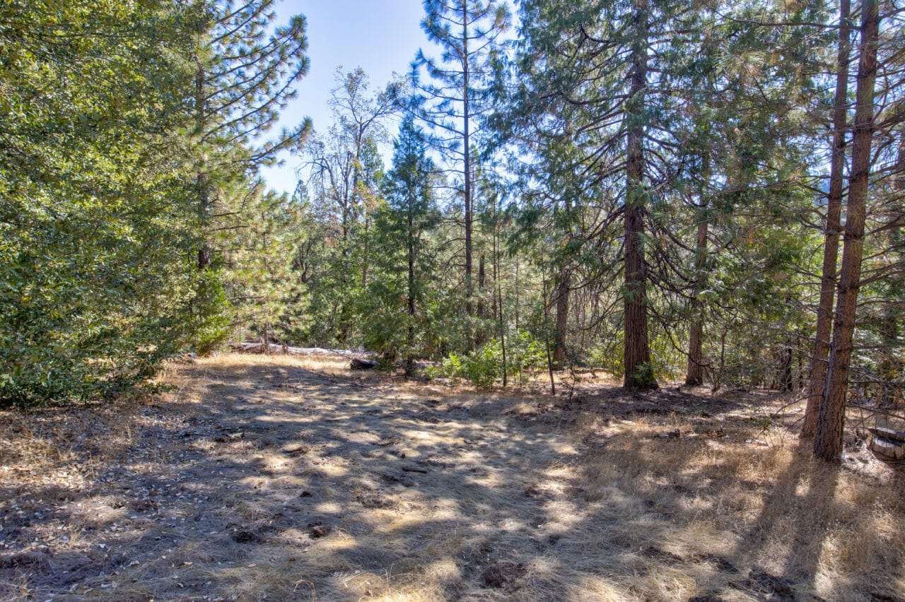 Listing Image 52