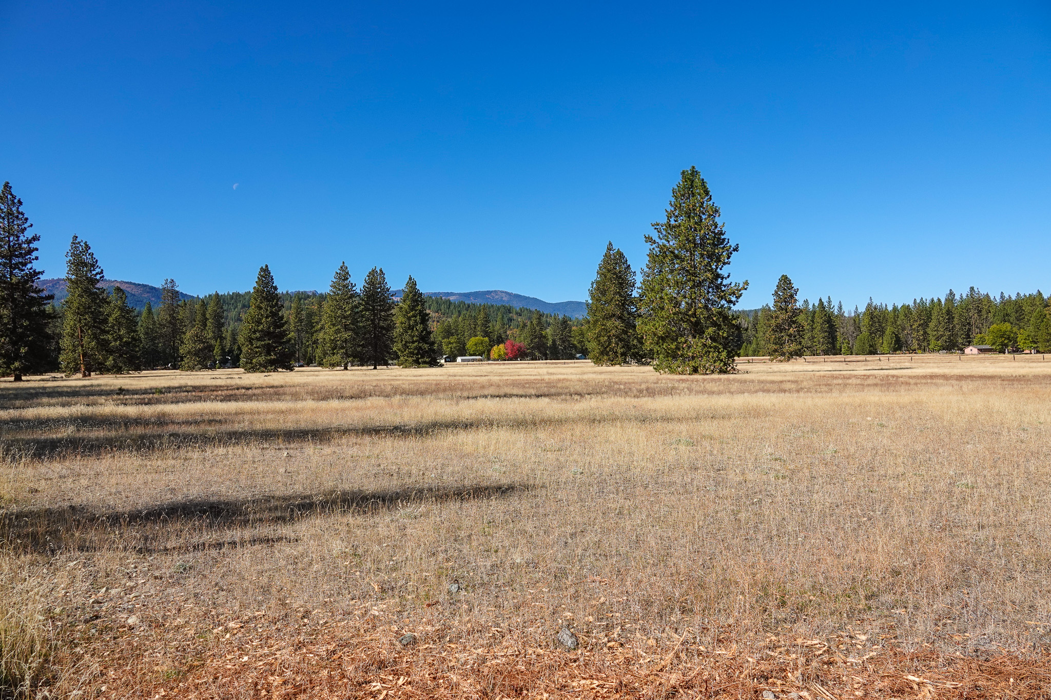 Mountain View Meadow