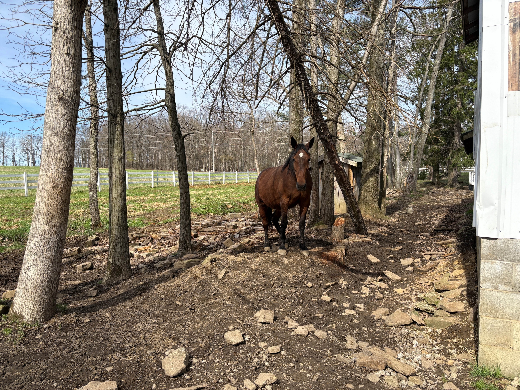 Country Living