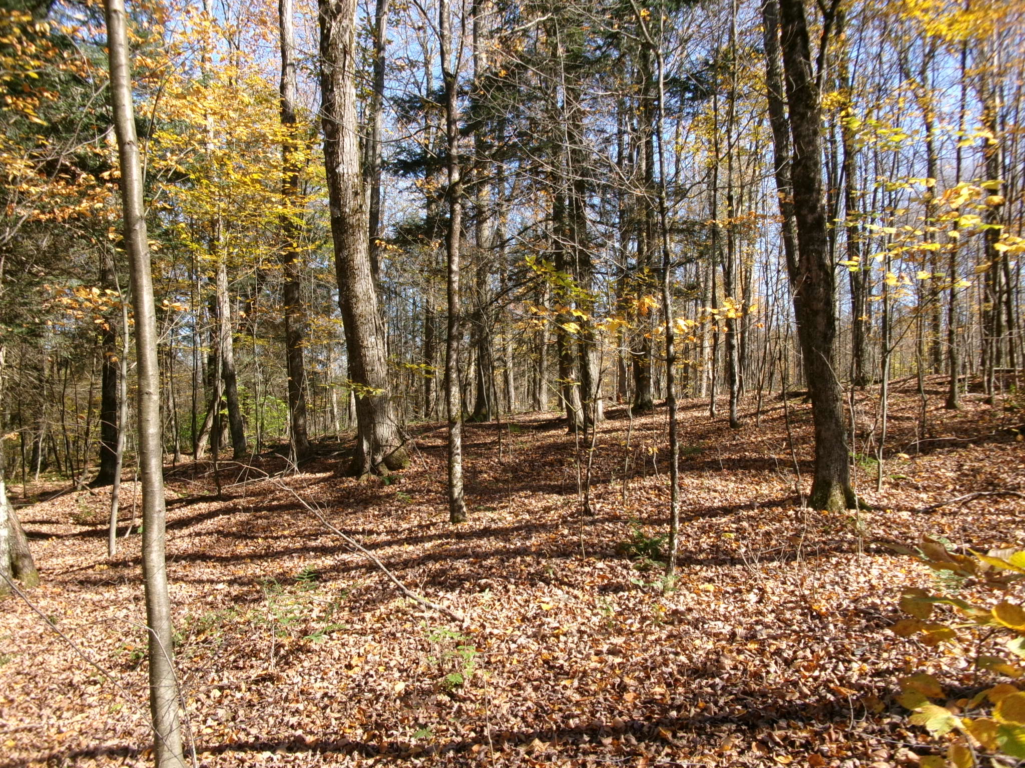 Listing Image 11