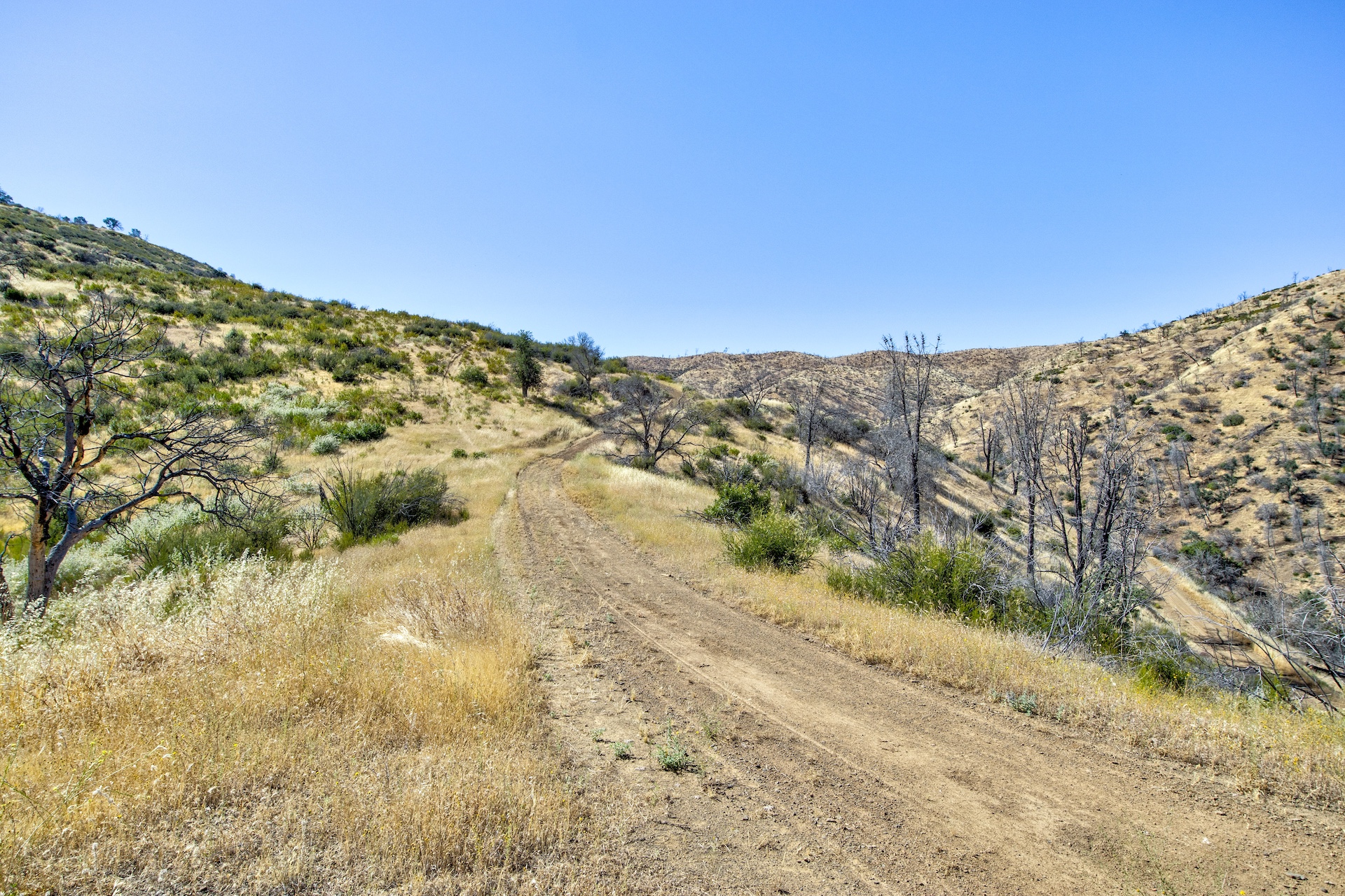 Old Iron Gate Ranch