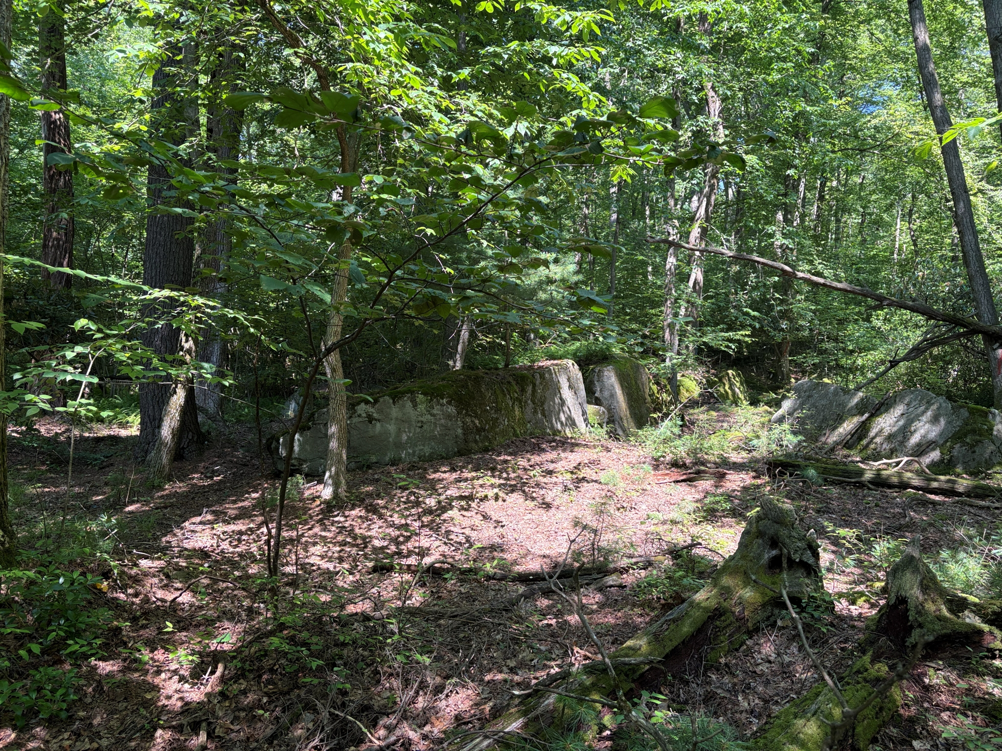 Listing Image 17