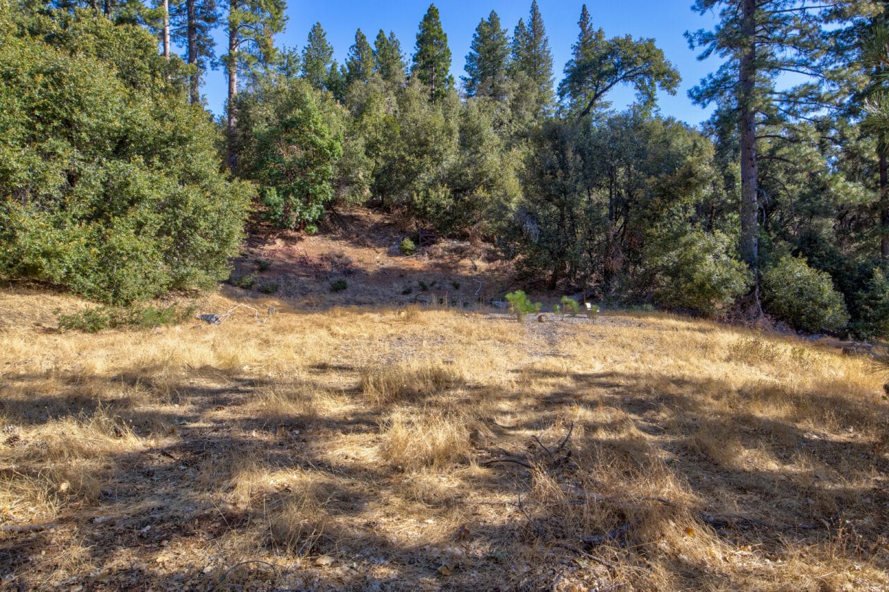 Listing Image 28